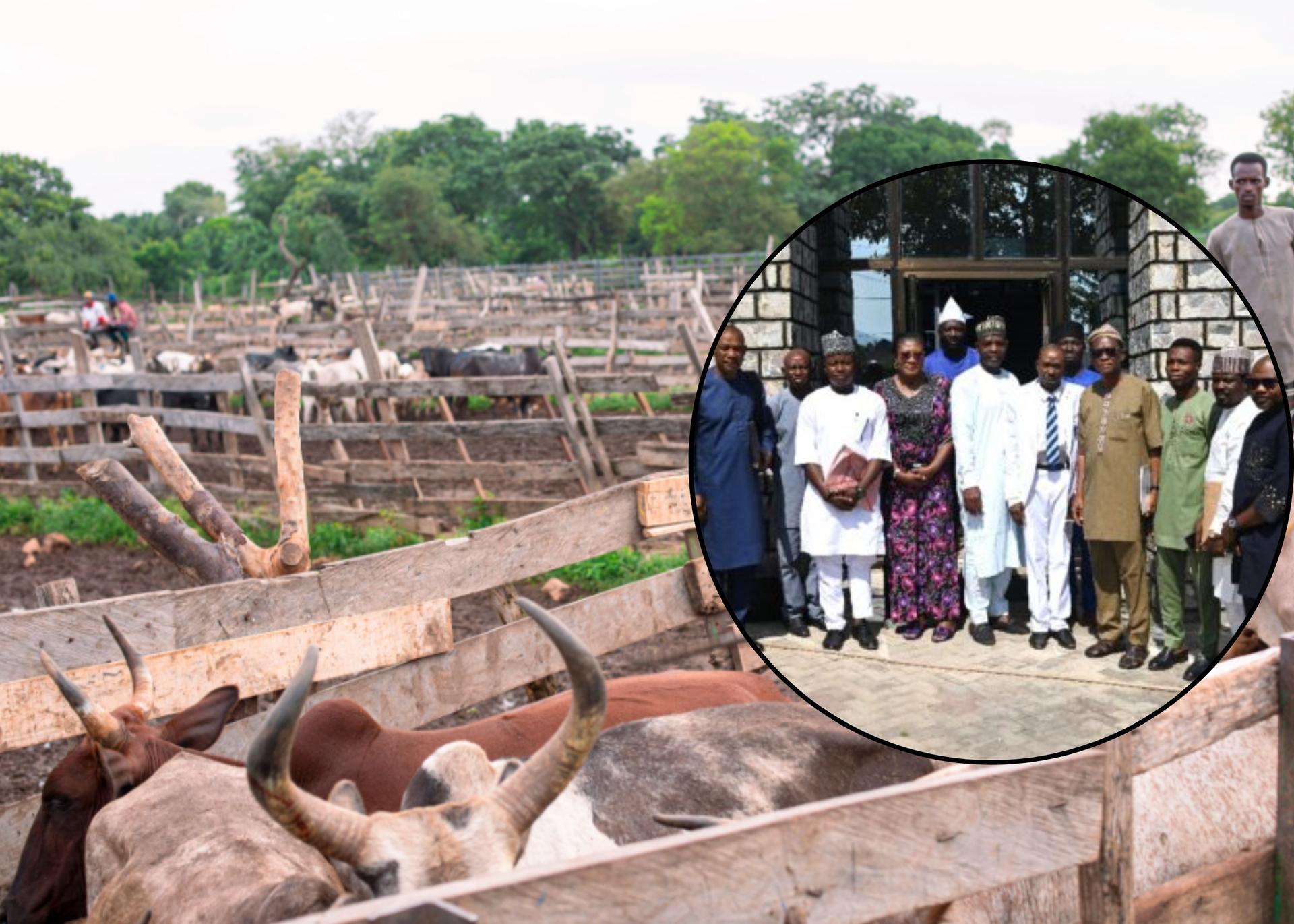 Kogi L-PRES To Rehabilitate Nine Livestock Markets