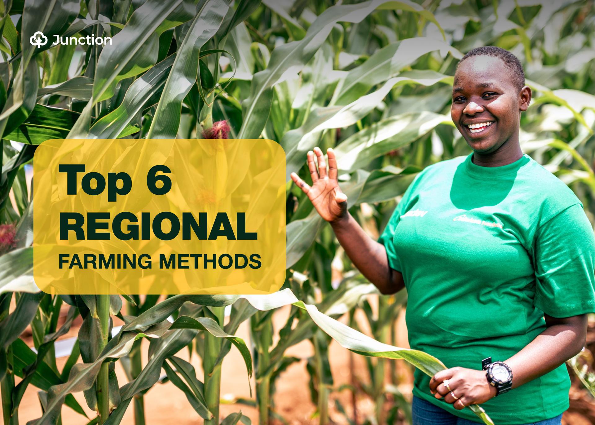 Top Six Regional Farming Practices In Nigeria