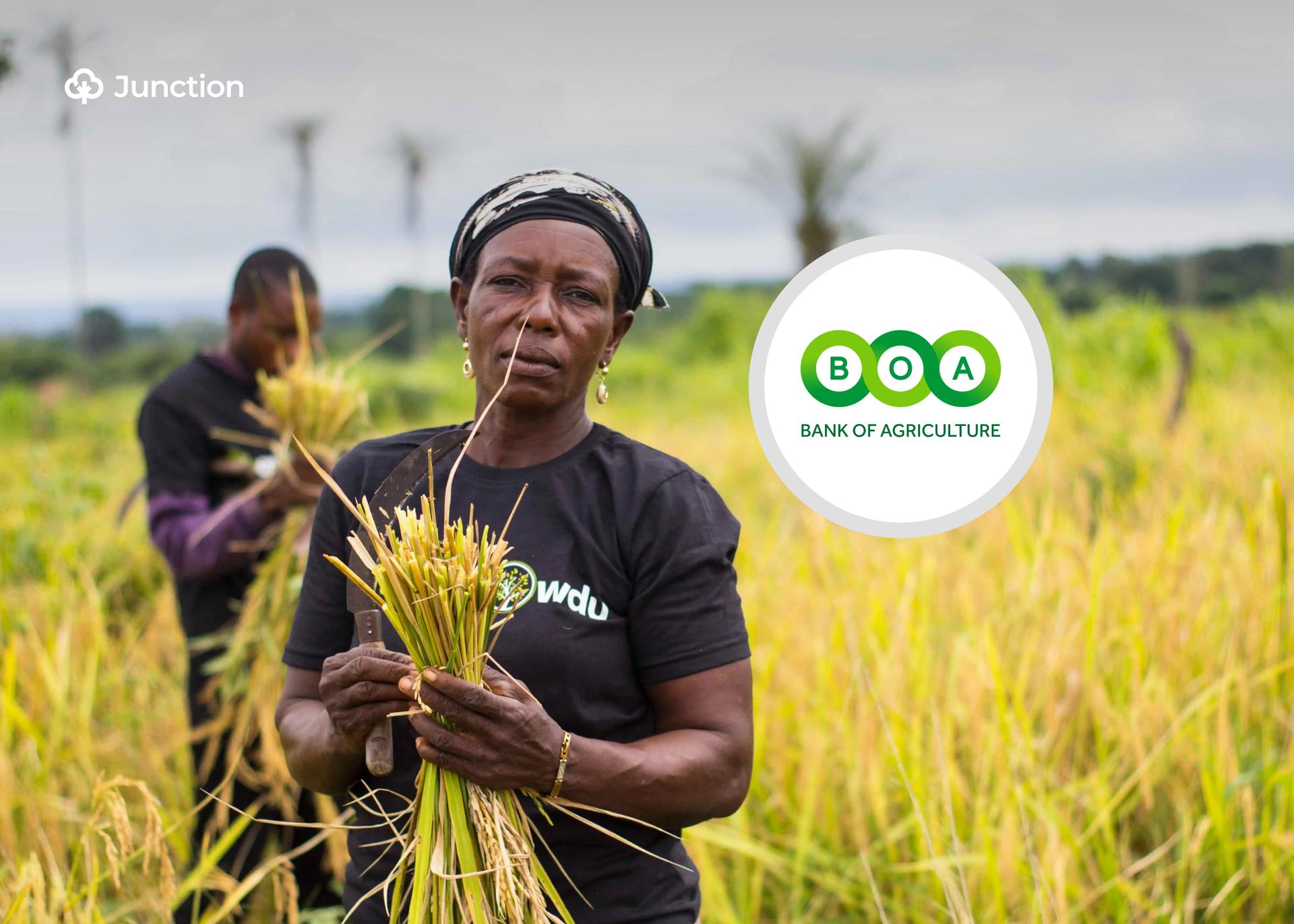 Nigeria's BoA Secures $1 Billion Fund to Empower Smallholder Farmers