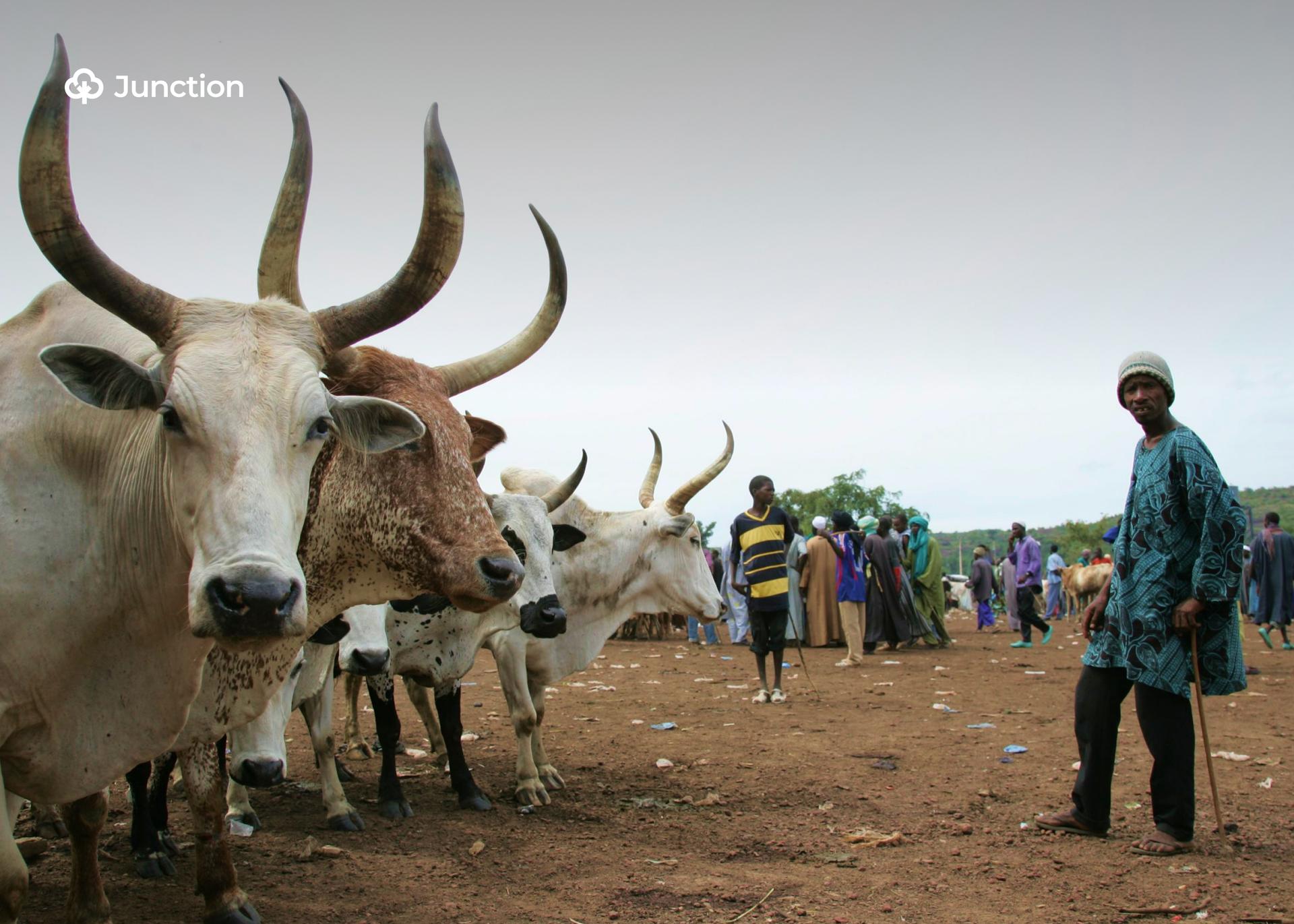 Gombe Govt Resolves Farmer-Herder Clash in Kunji Village
