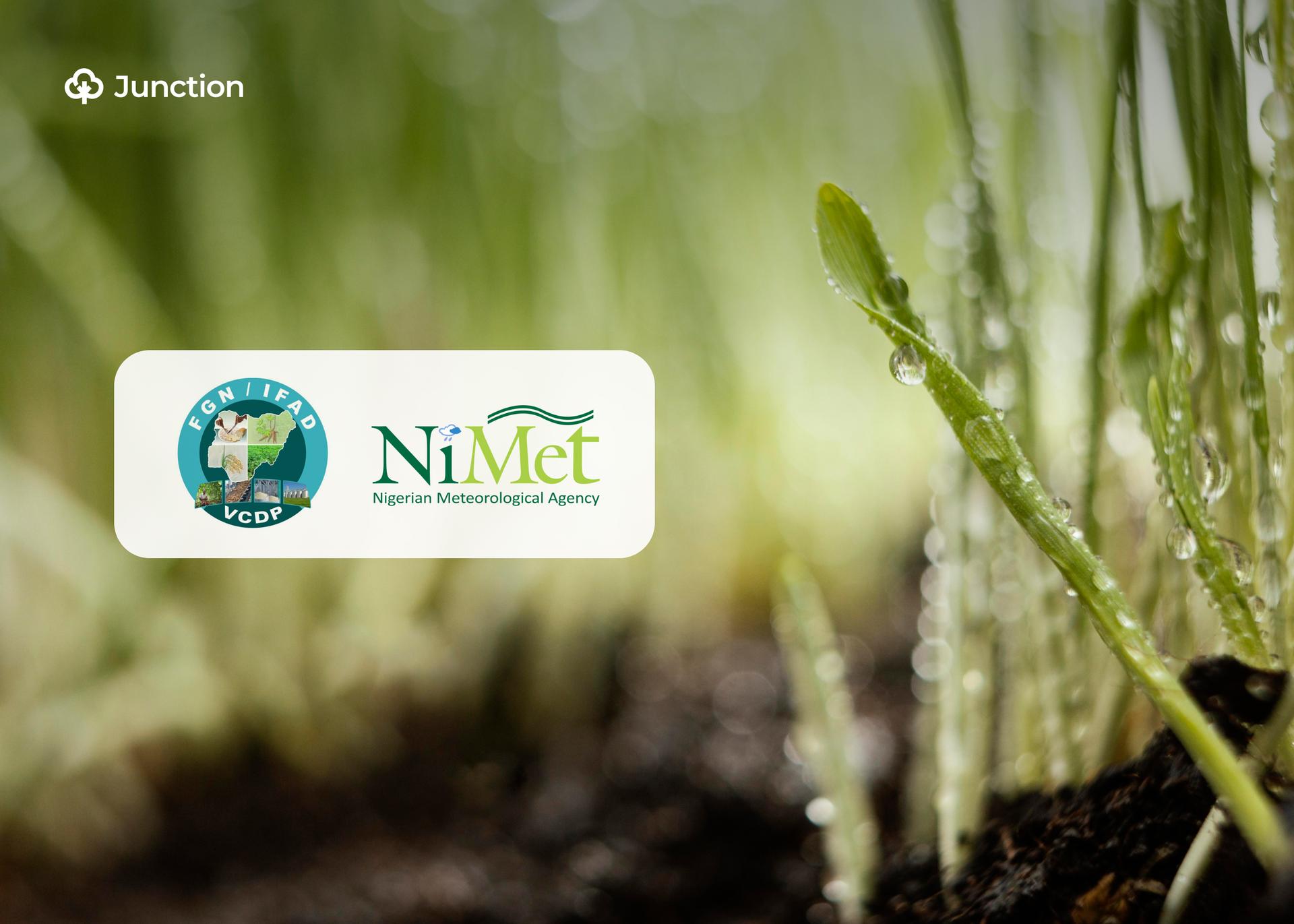 VCDP, NiMet Partner to Provide Weather Forecasts to Nigerian Farmers in Local Languages