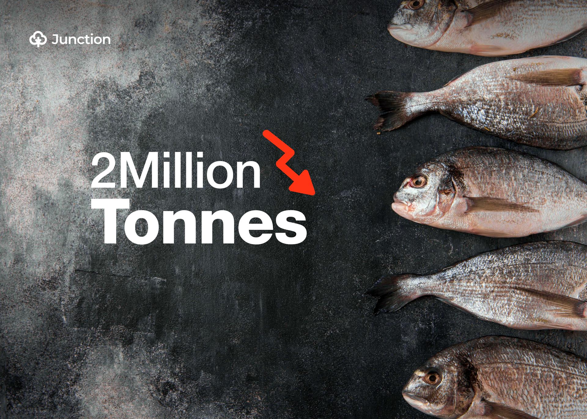 Nigeria Faces 2 Million Tonnes Fish Deficit as Imports Continue to Drain Economy