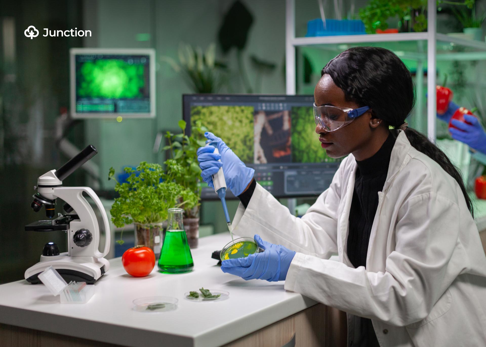NUC Approves Agriculture and Biosystems Engineering Programme for Ekiti's FUTES