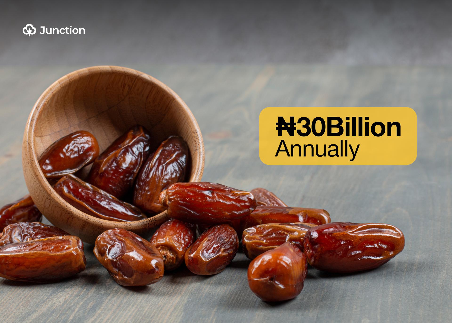 Jigawa State Targets ₦30 Billion Annually from Date Palm Farming