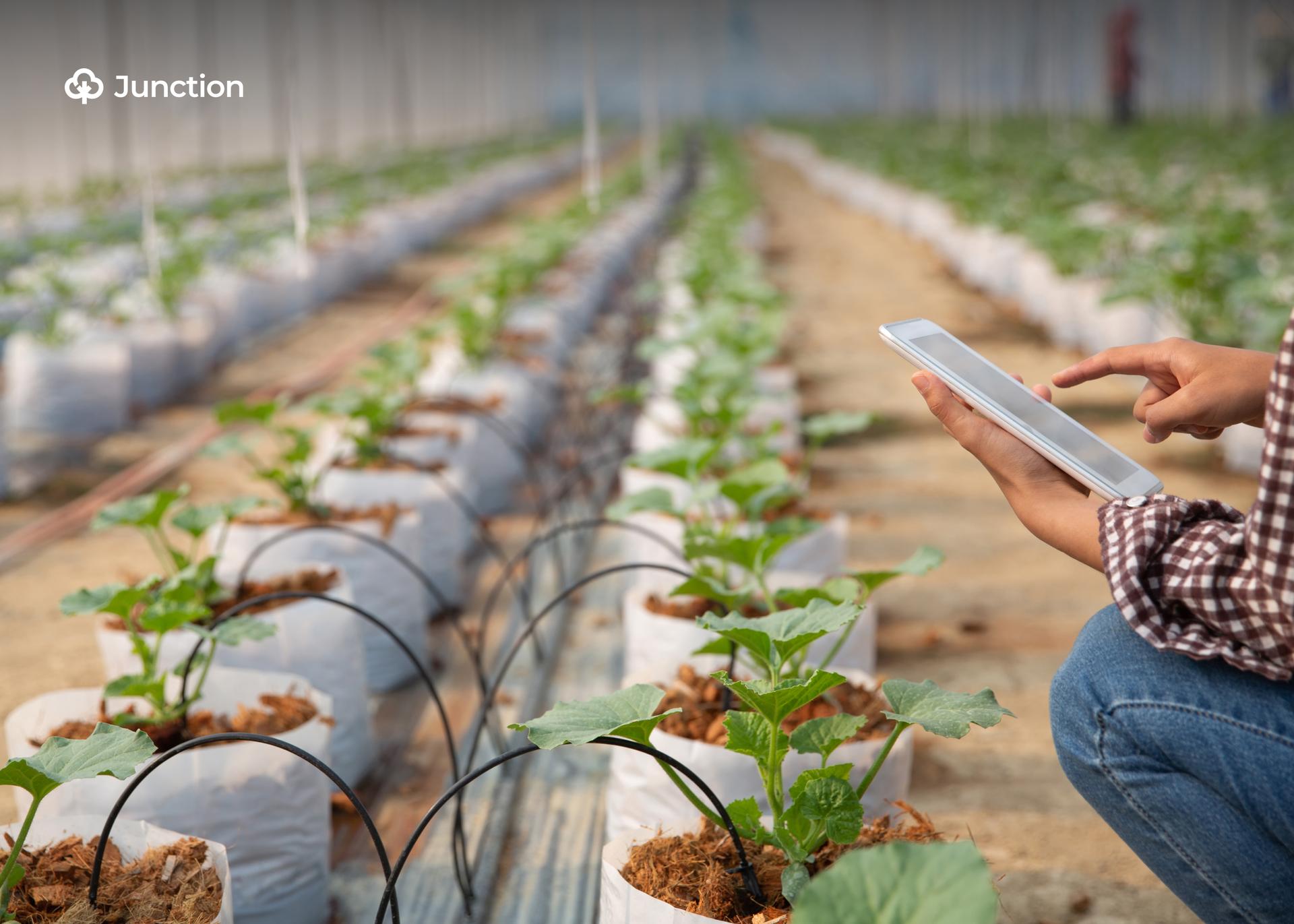 FG Unveils AI Platform to Link Farmers, Researchers, and Markets
