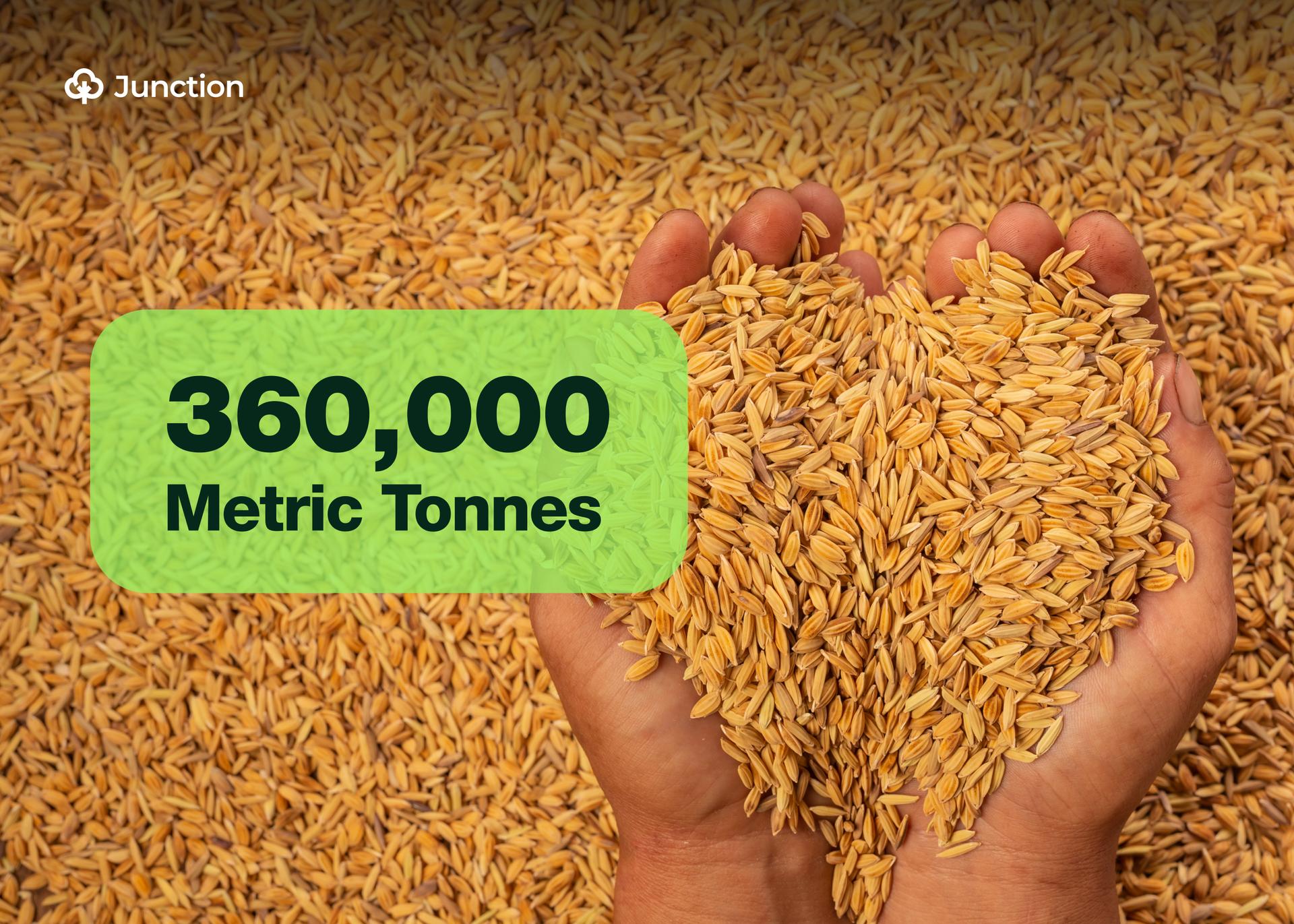 Niger State Targets 360,000 MT of Rice in Dry Season Farming Initiative