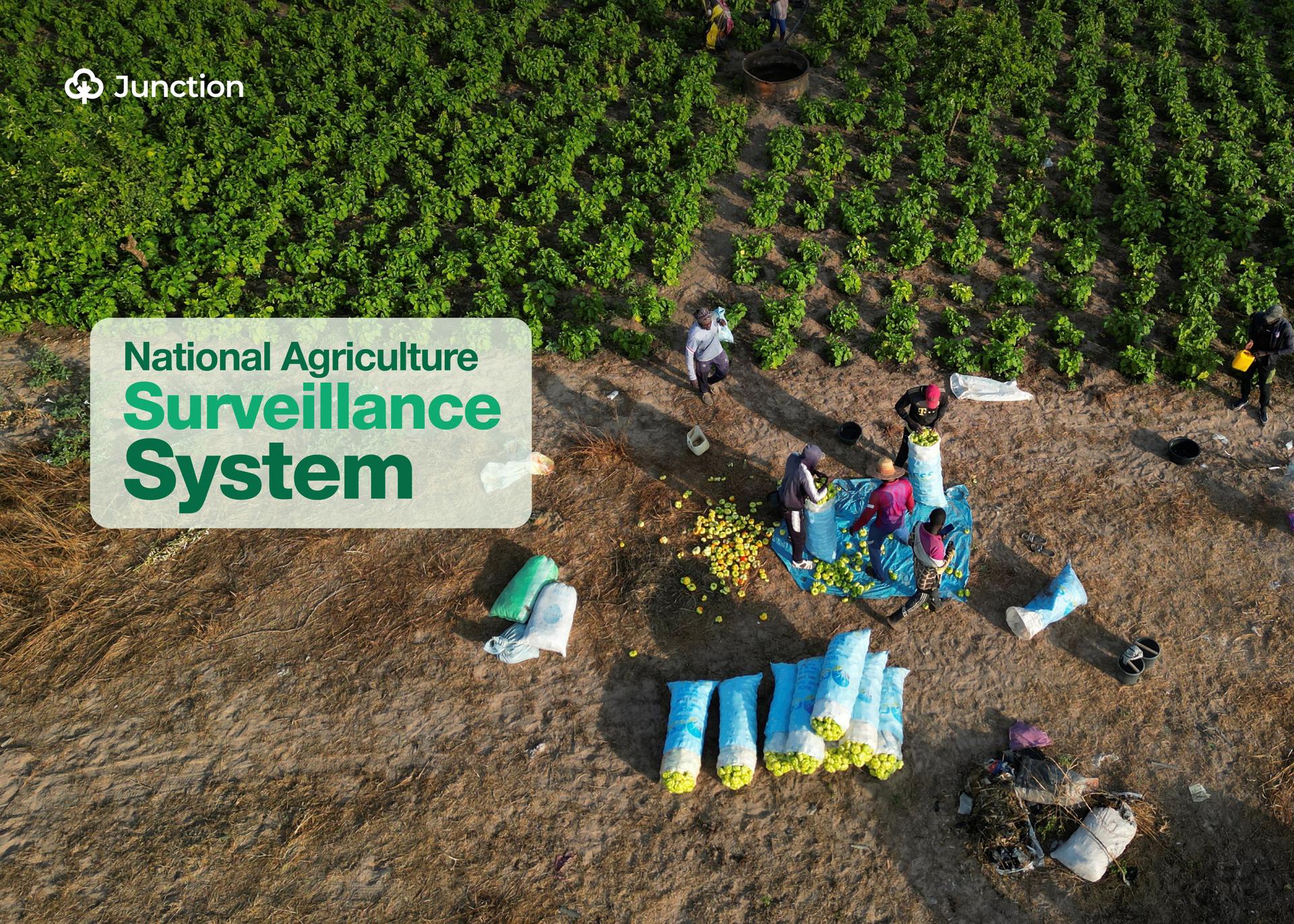 FAO and NBS Begin Data Collection for NASS 2025