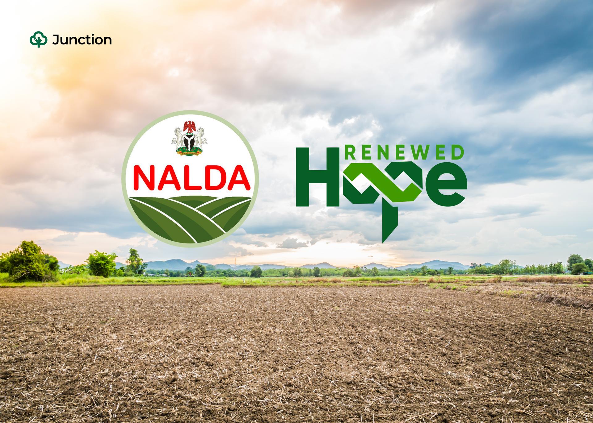 NALDA Partners Arzikin Noma to Manage 5,000 Hectares Renewed Hope Mega Farm in Kwara