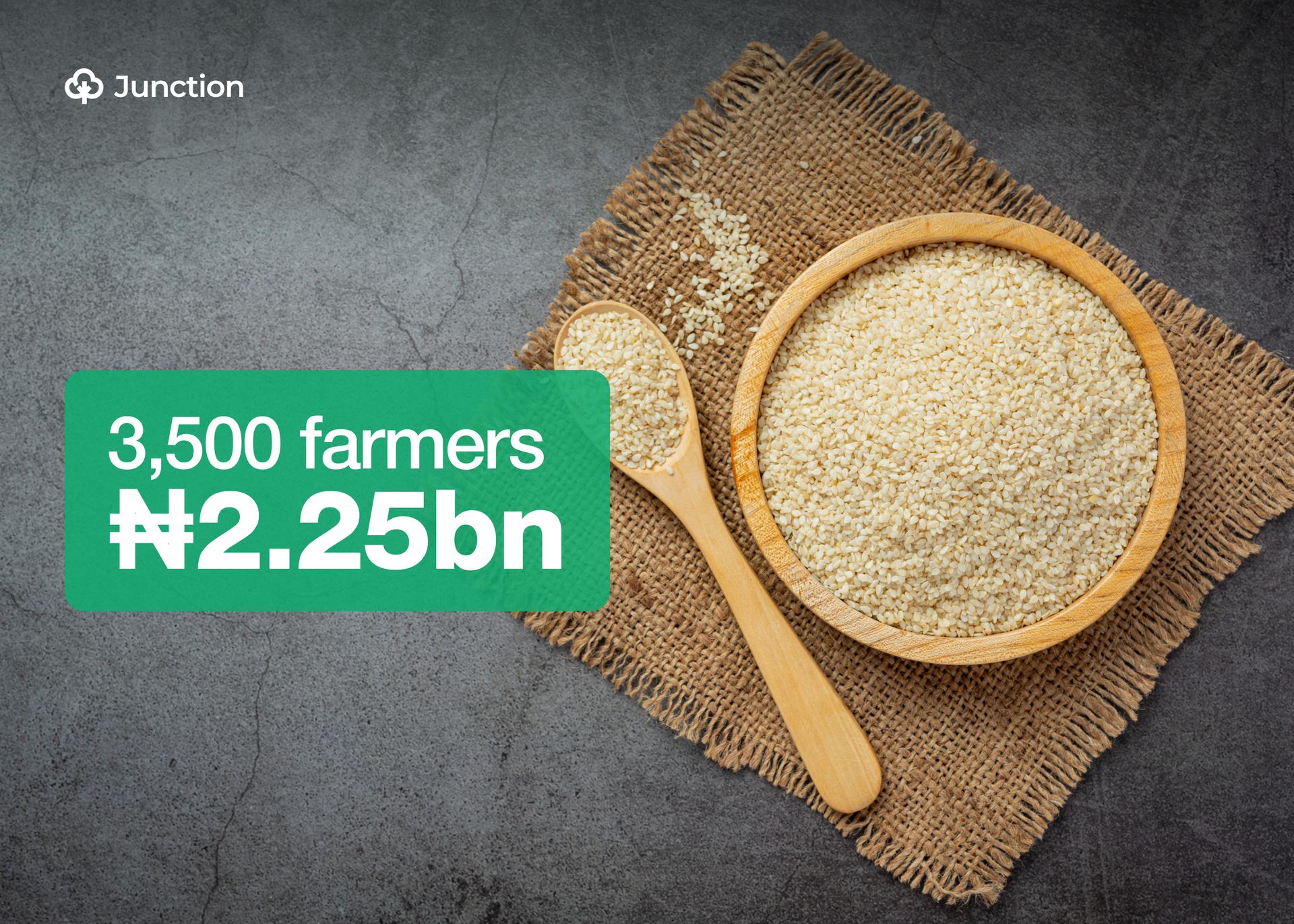 WACOT Gets ₦2 Billion Grant to Empower 3,500 Sesame Farmers in North