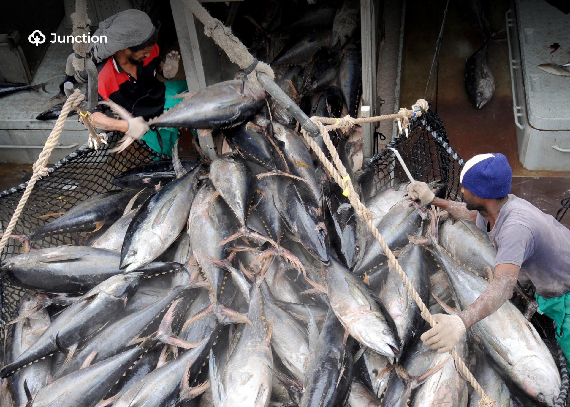 Norway, Nigeria Partner to Boost Fisheries, Aquaculture Industries