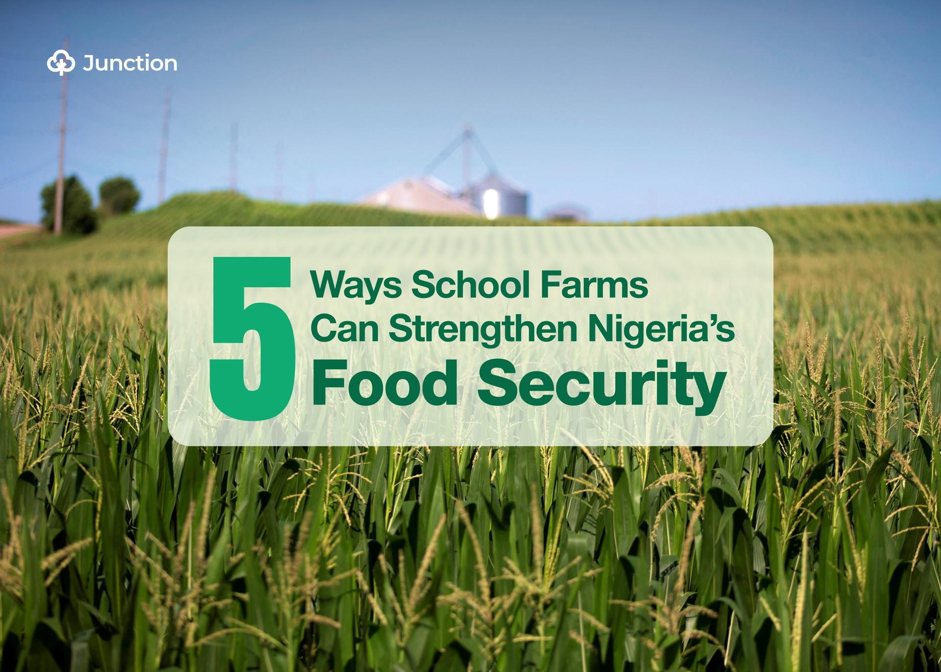How School Farms Can Strengthen Nigeria’s Food Security