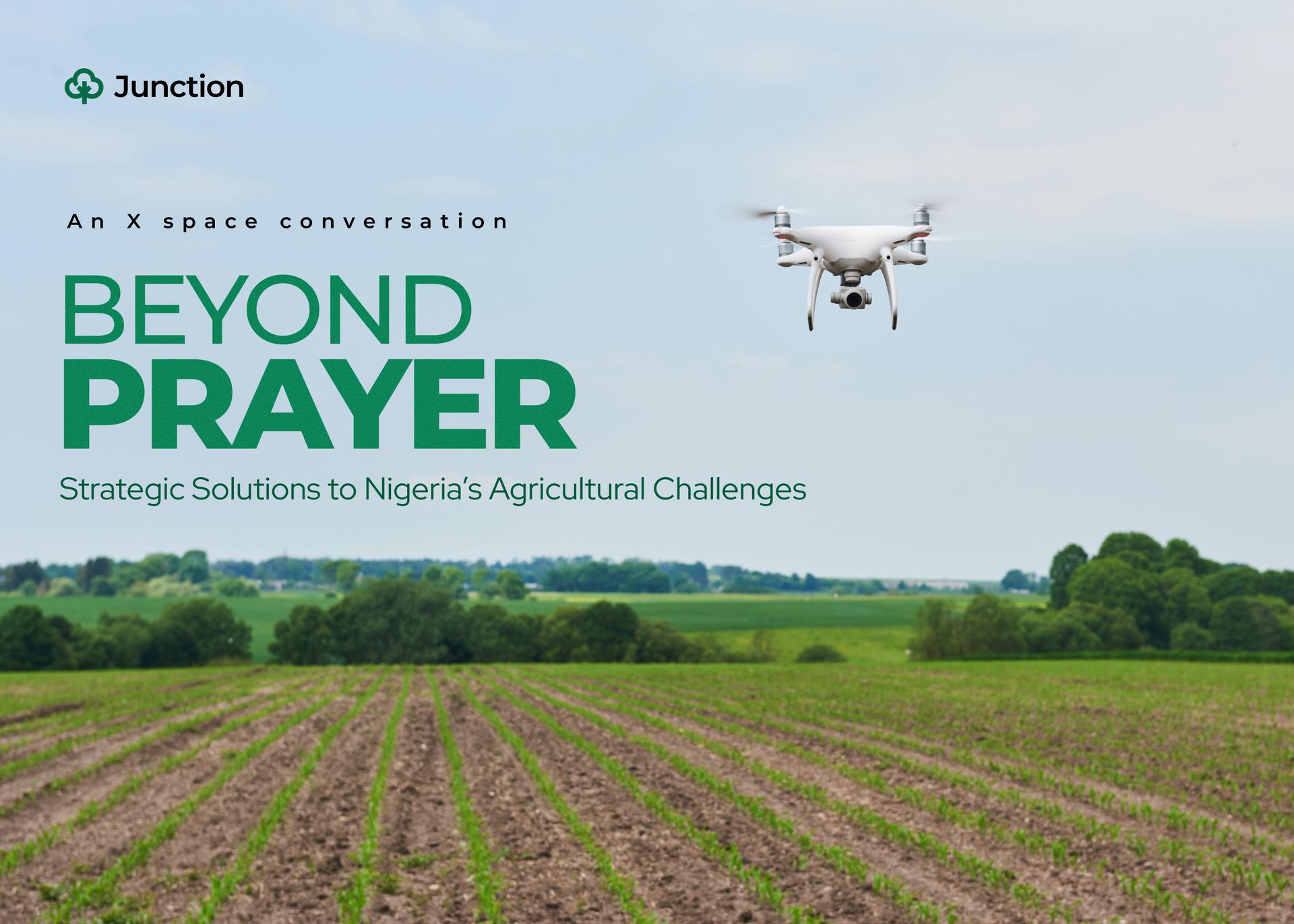 Beyond Prayer: Strategic Solutions to Nigeria’s Agricultural Challenges