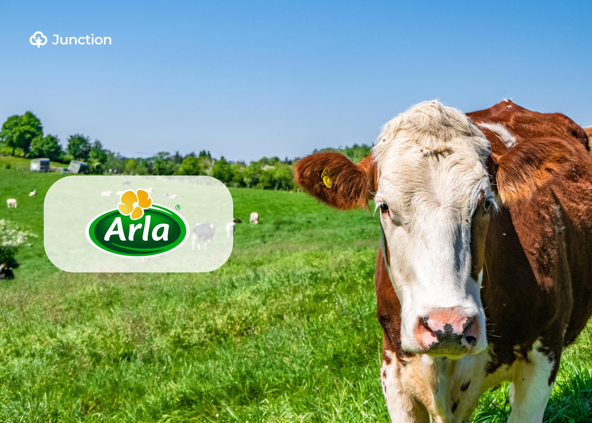 Arla Foods to Spearhead Nigeria's $1.5bn Milk Imports Slash