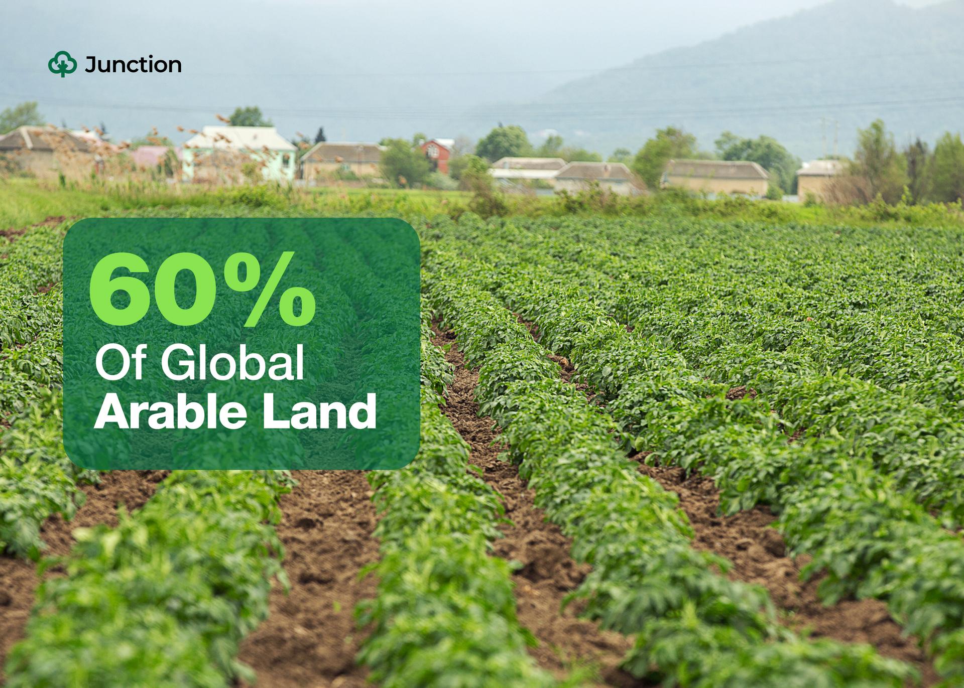 Africa Has 60% of Global Arable Land—but 77% of Its Nations Are Net Food Importers