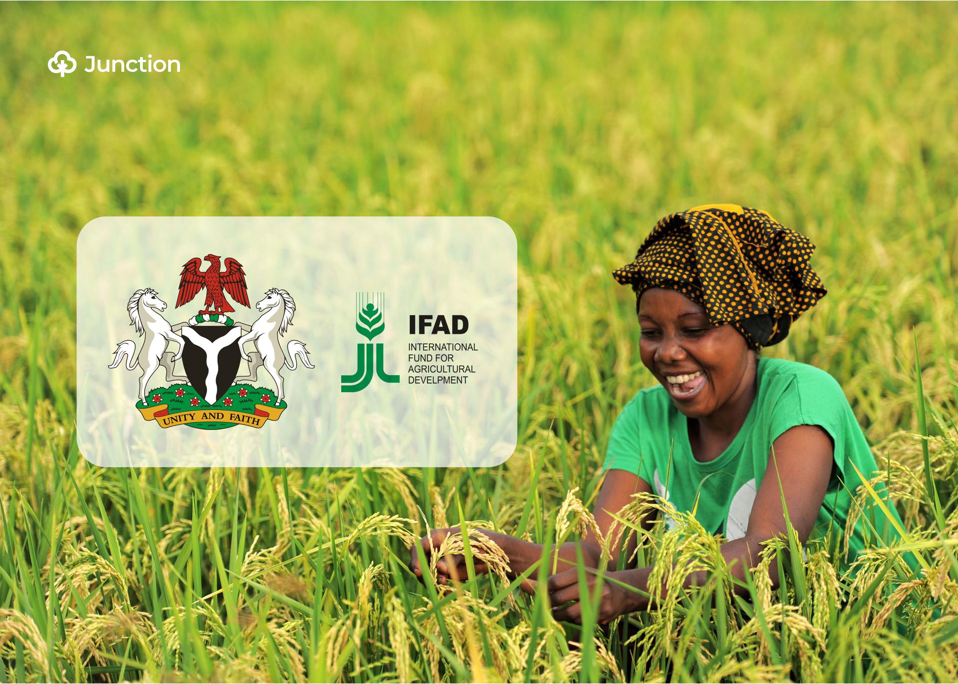 FG, IFAD Invests ₦5.17B in Ebonyi for Rice, Cassava Development