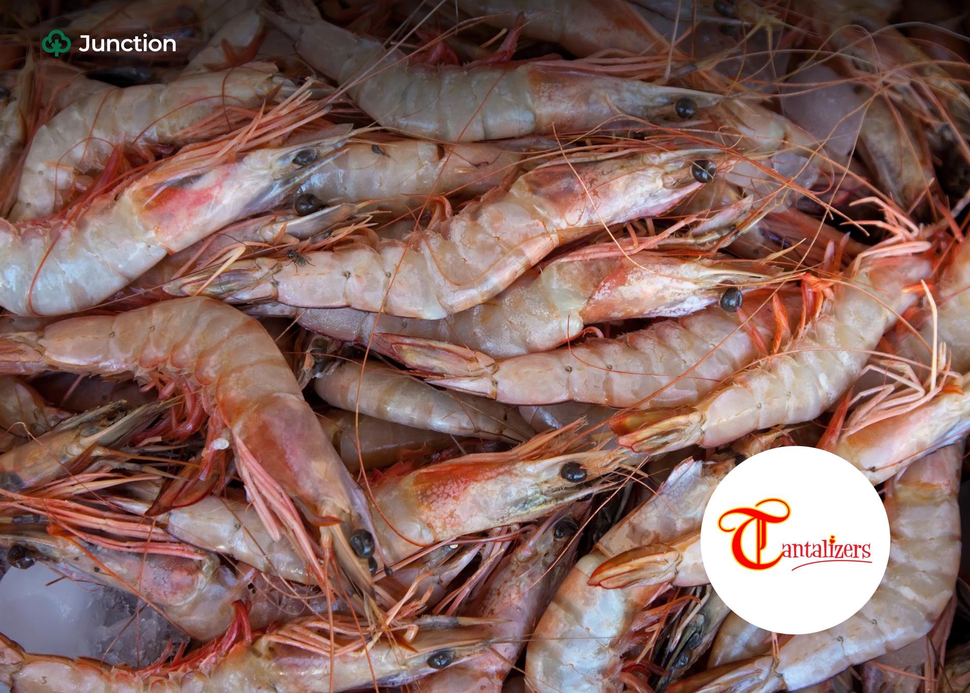 Tantalizers Signs Multi-Million-Dollar Export Deal with US Seafood Buyer