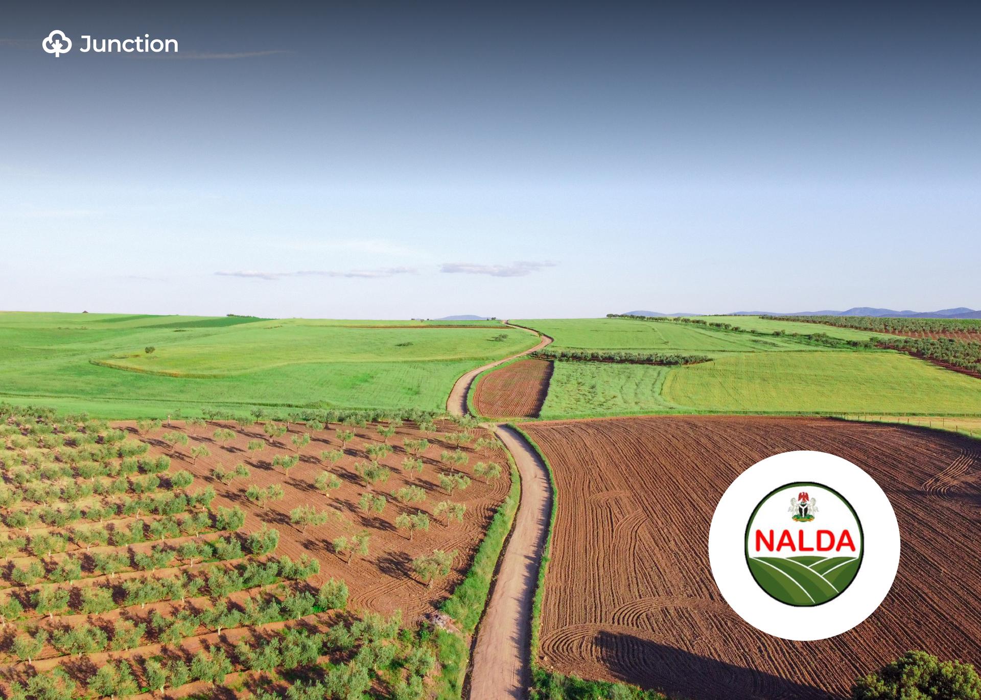 NALDA's Renewed Hope Mega Farms Can Lift 100,000 Nigerians Out of Poverty