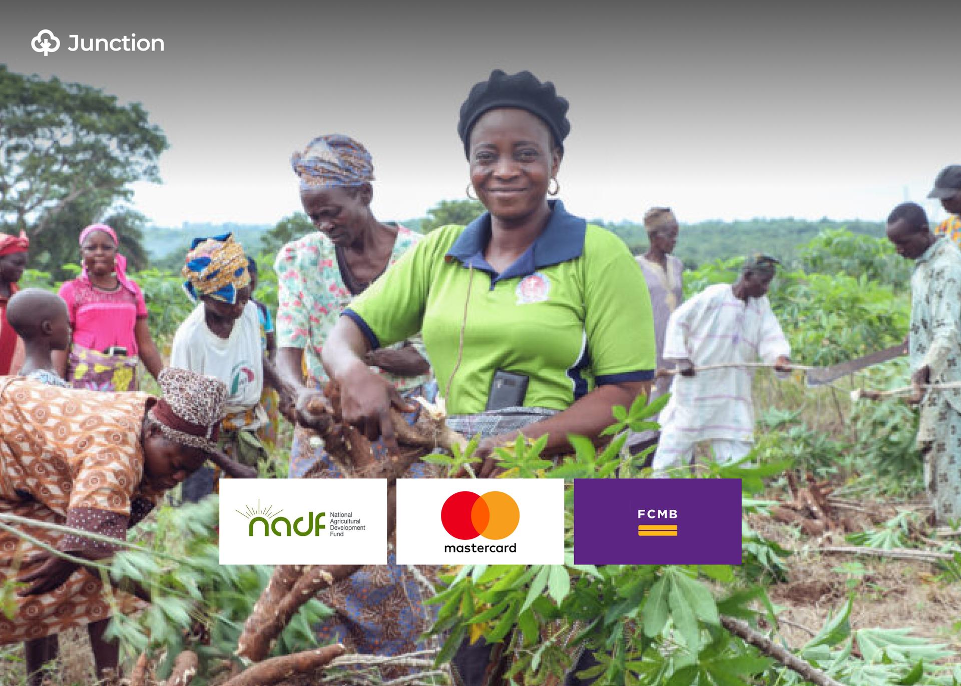 NADF, Mastercard, FCMB Partner To Support Oyo Women Cassava Farmers