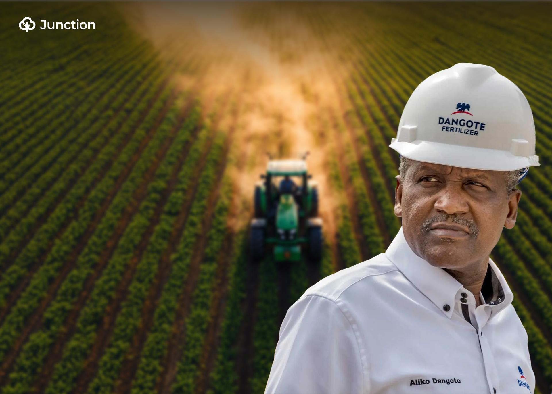 Dangote Moves to Revitalise Nigeria's Agriculture Sector