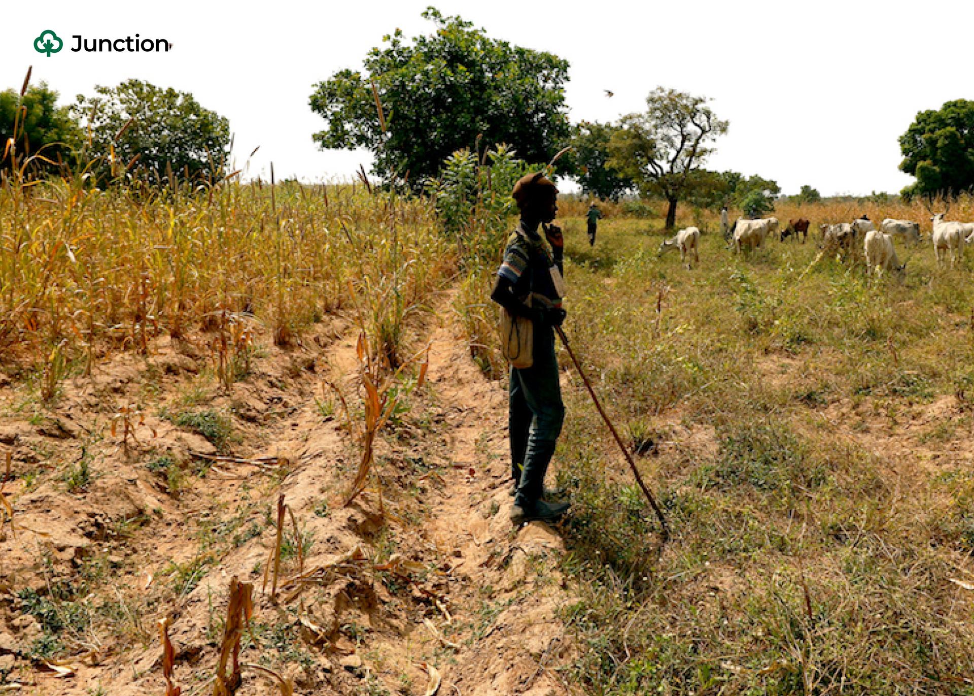 Troops Arrest Herders for Destroying Farmlands in Makurdi