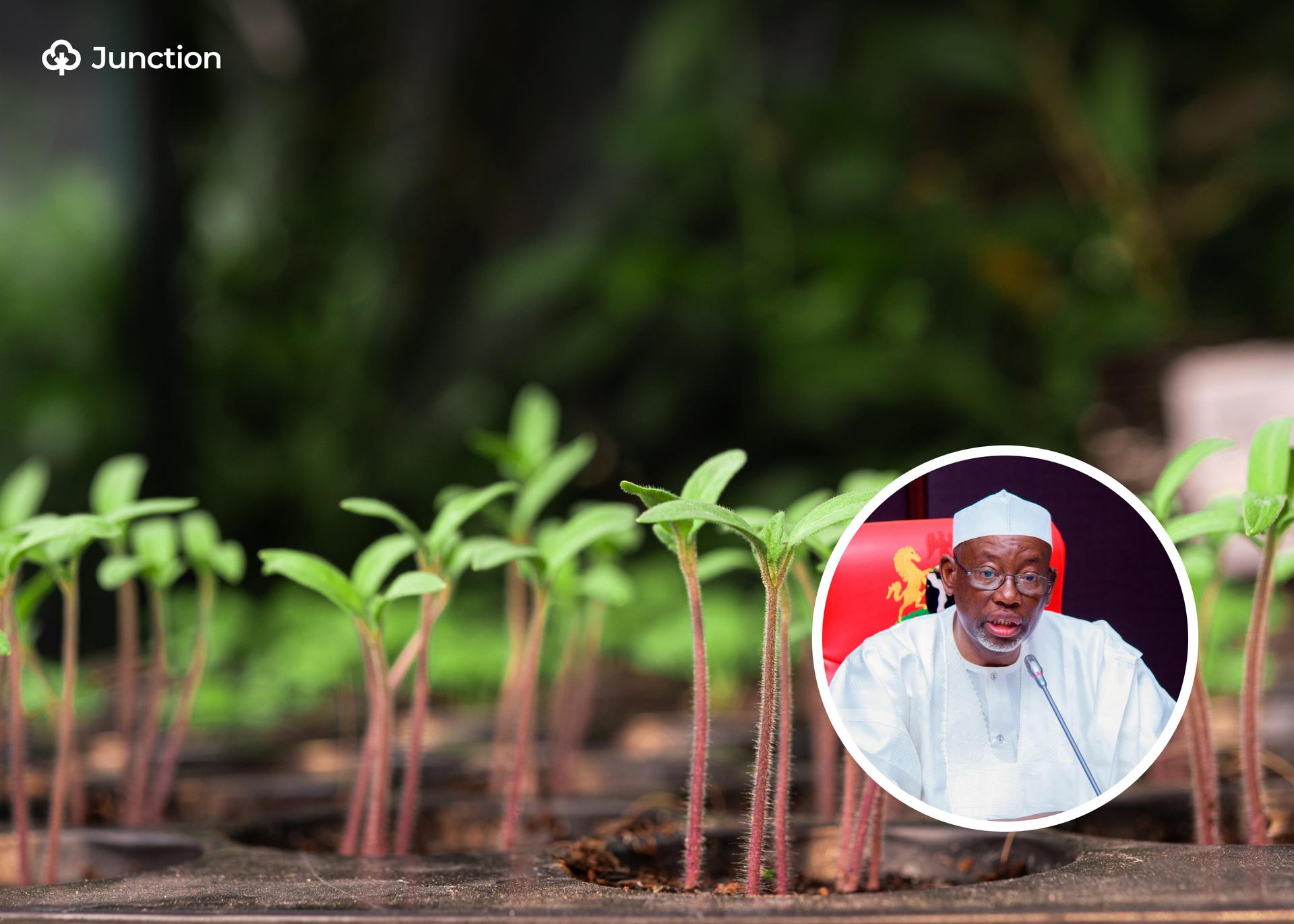 Jigawa Allocates Over 8% of 2026 Budget to Agriculture