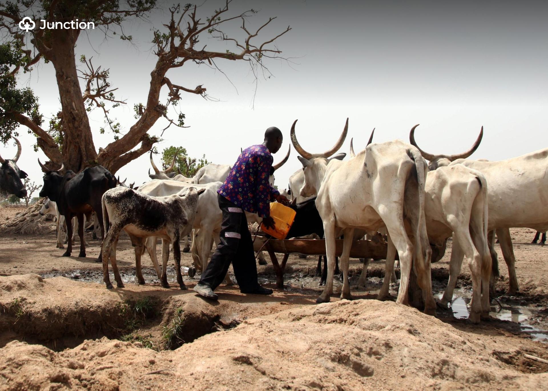 Kwara Insecurity: Bandits Kidnap Livestock Farmer Days After Worshippers Release