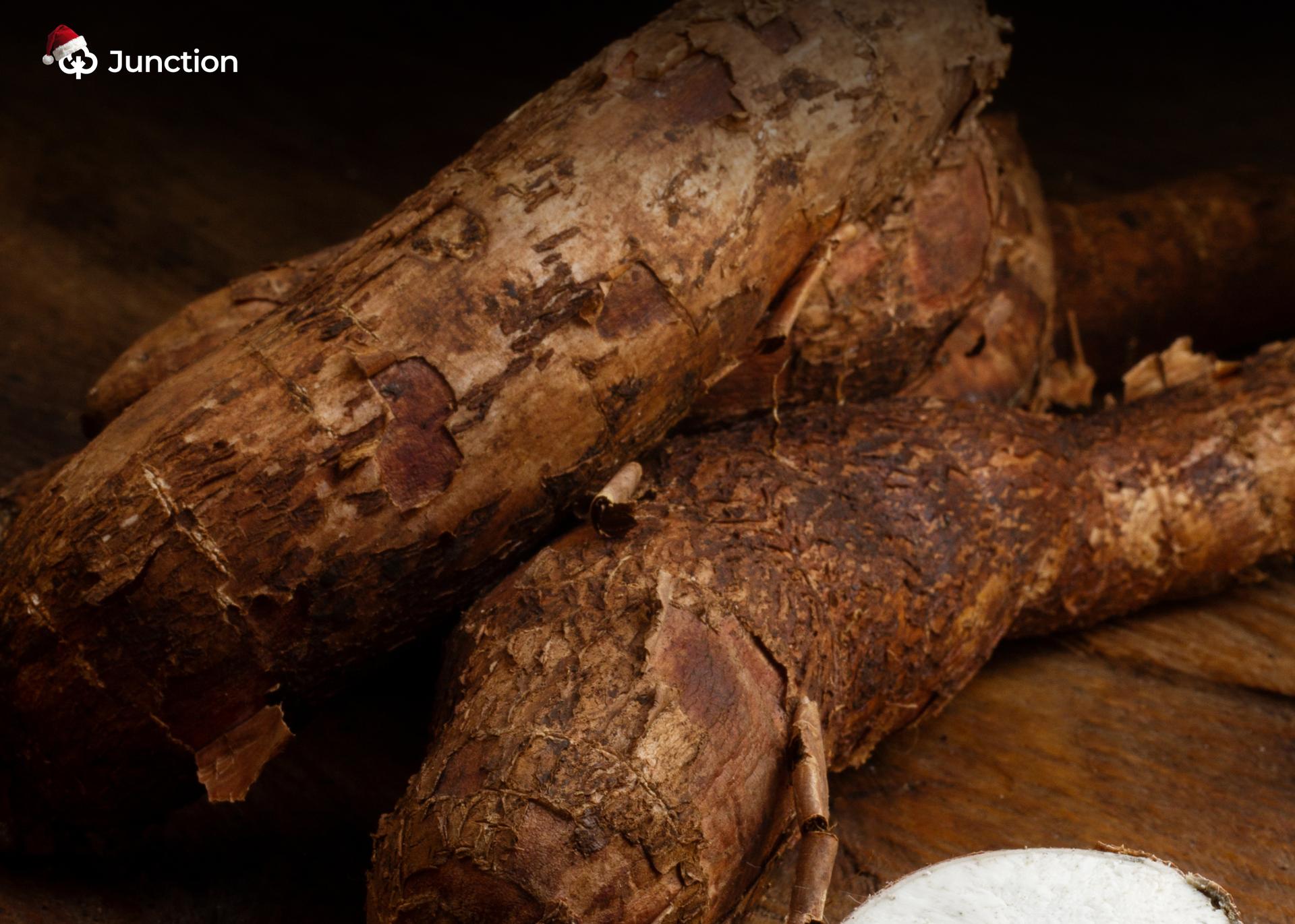 Agbeyewa Farms Targets Bigger Share of $3.6bn Cassava Market