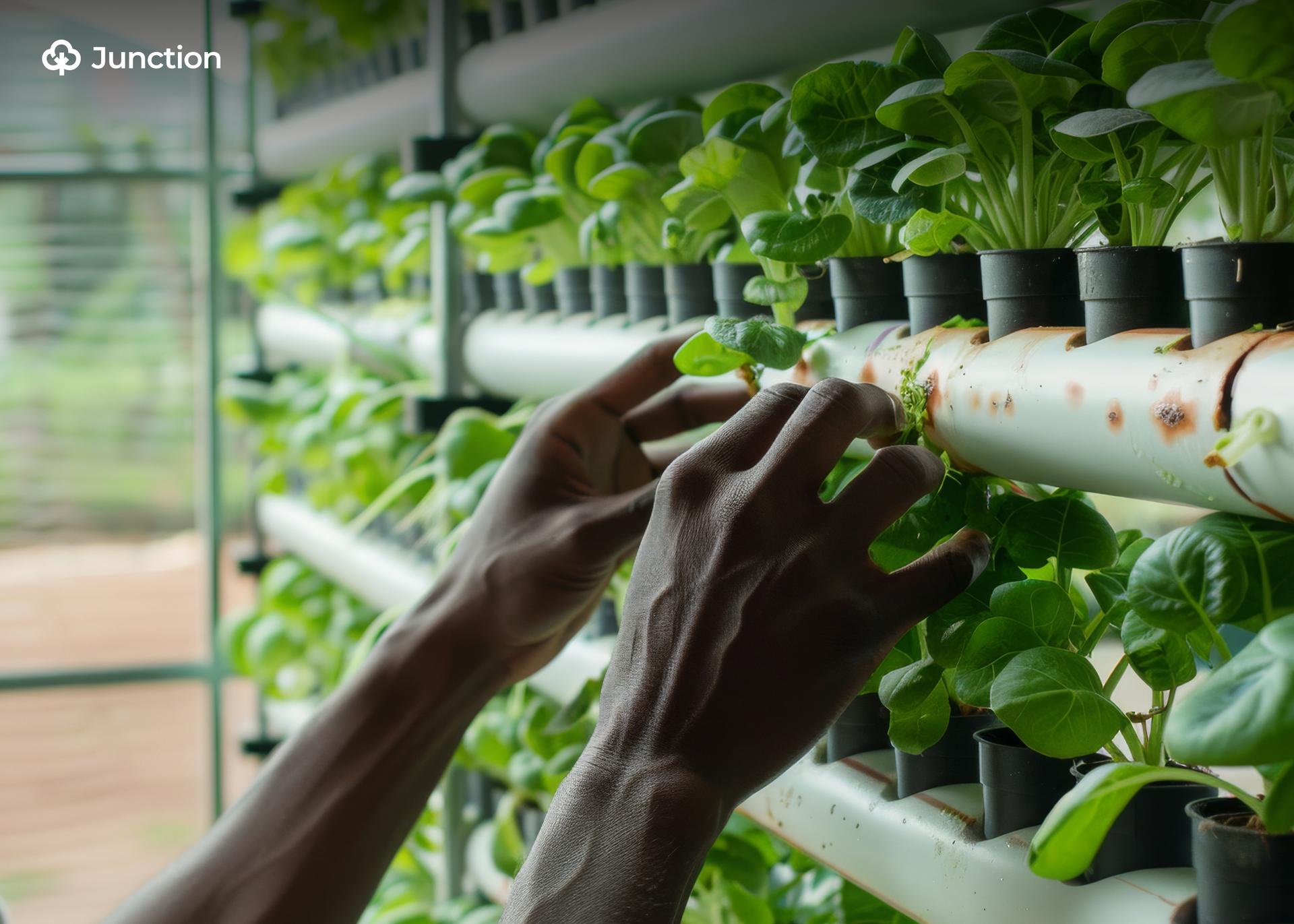 14,000 Bauchi Smallholder Farmers Benefit from ₦4bn Smart Agric Project