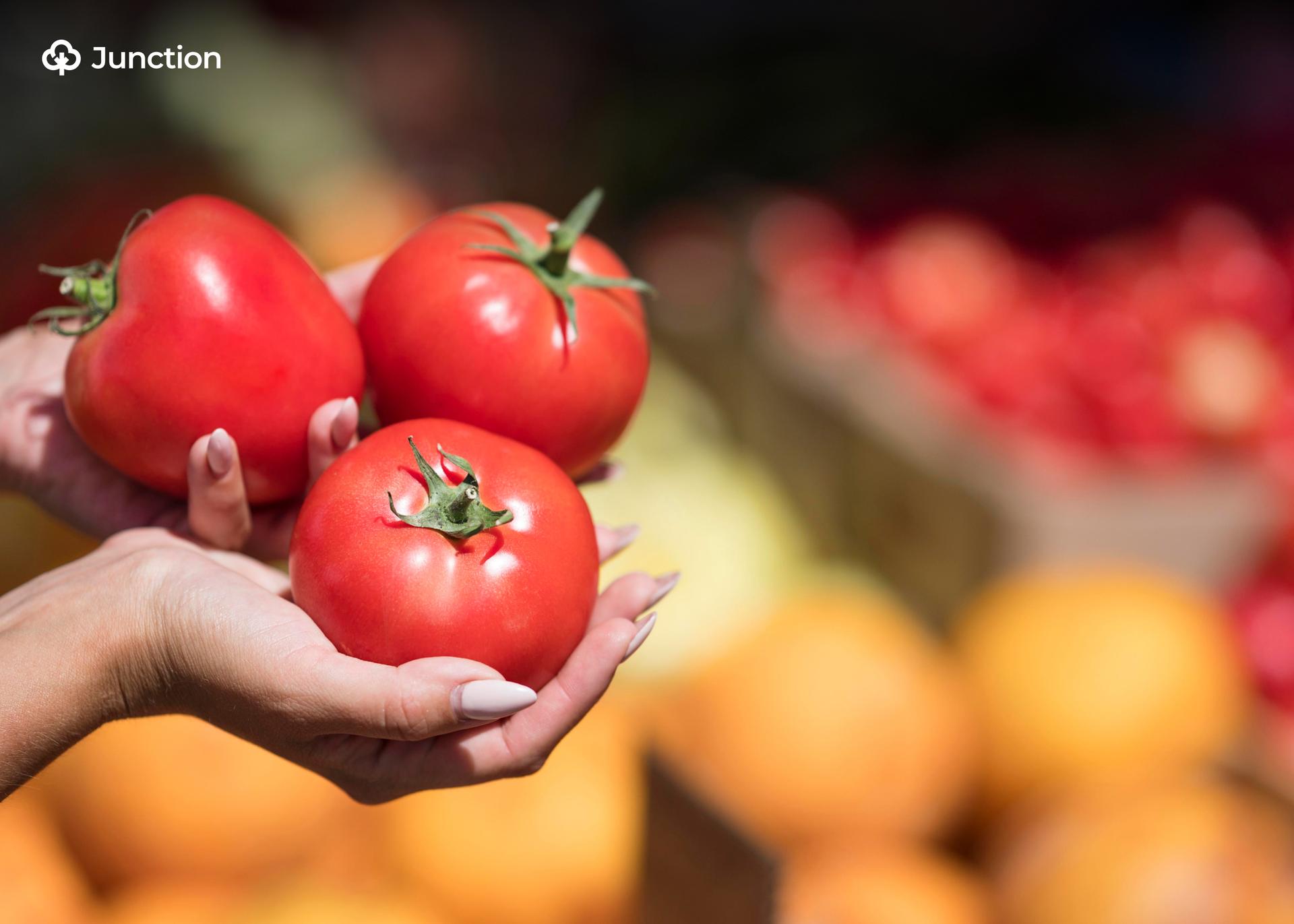 Tomato Supply Expected to Reduce Price During Christmas