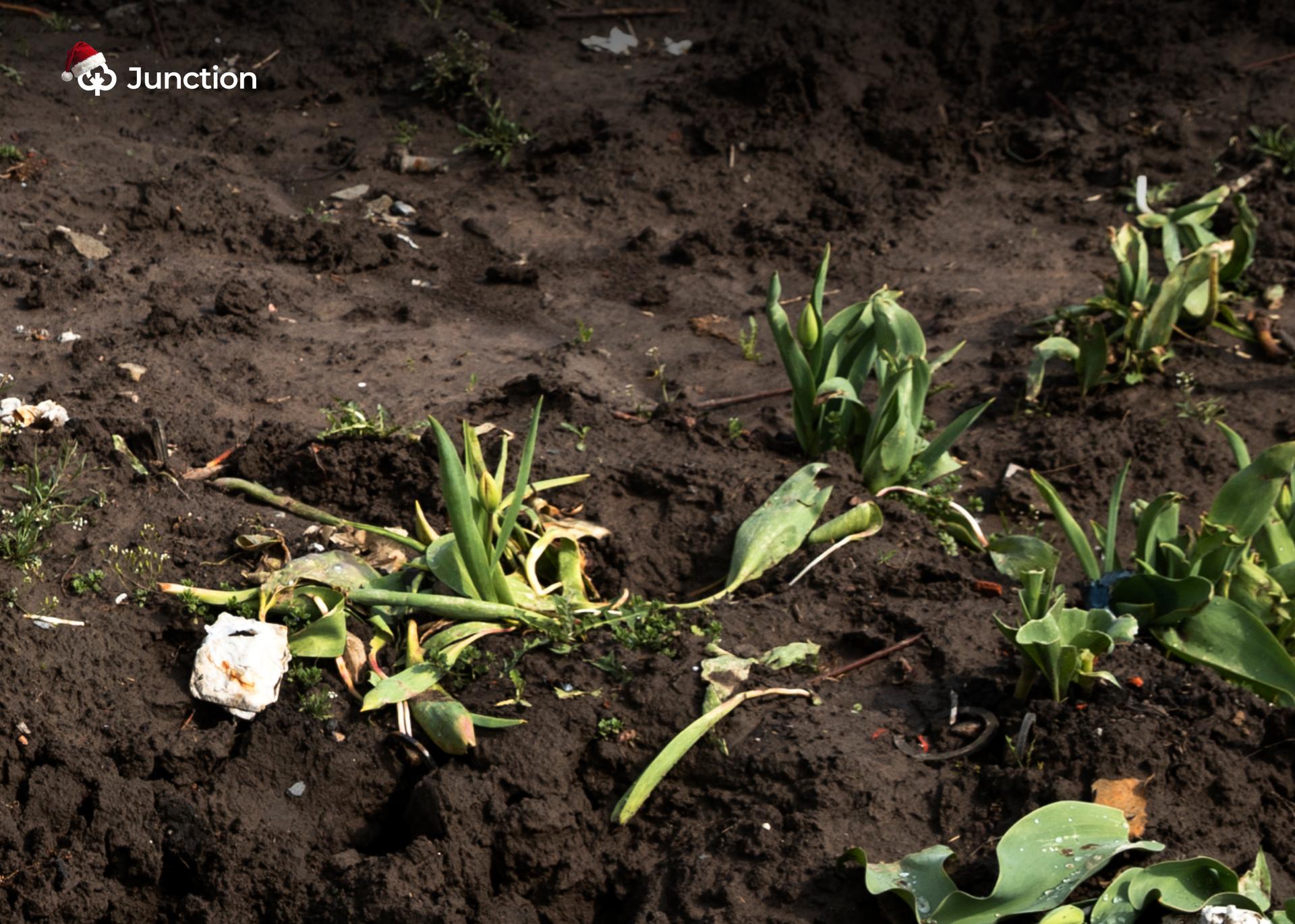 Nigerian Farmers Suffer Losses Despite International Trade Hitting ₦5tn