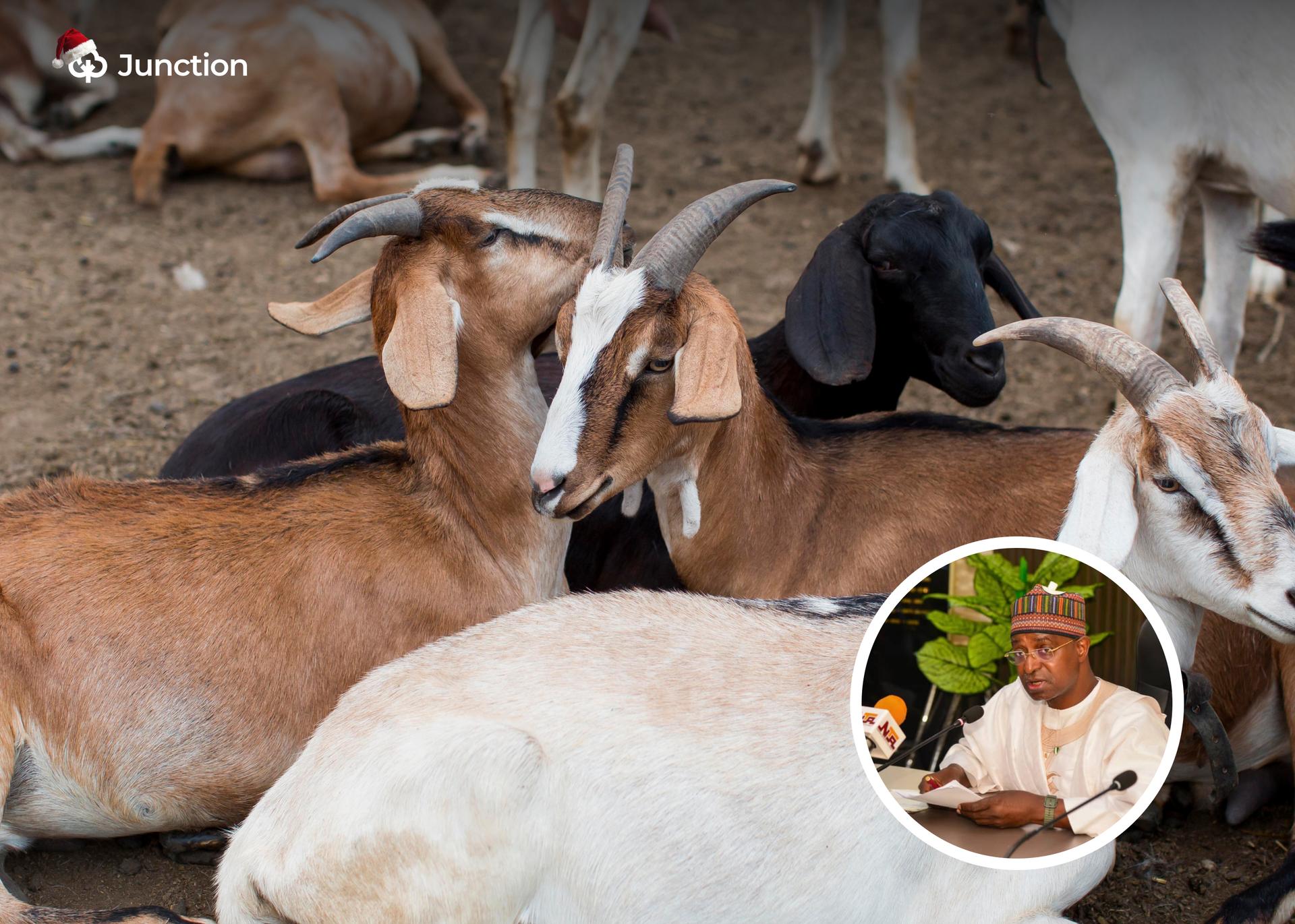 Nigeria's Livestock Ministry Launches KPI System for Accountability