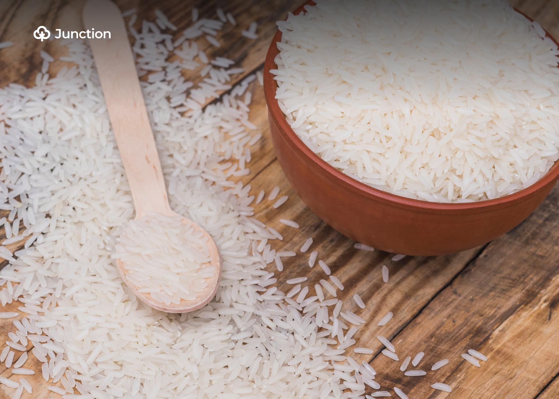 Higher Yield, Imports Ease Festive Season Rice Price Pressure in Nigeria