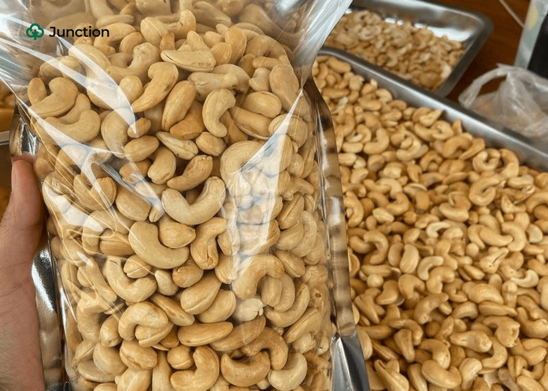 Nigeria Can Earn $10bn Yearly from Cashew Industry —Producers