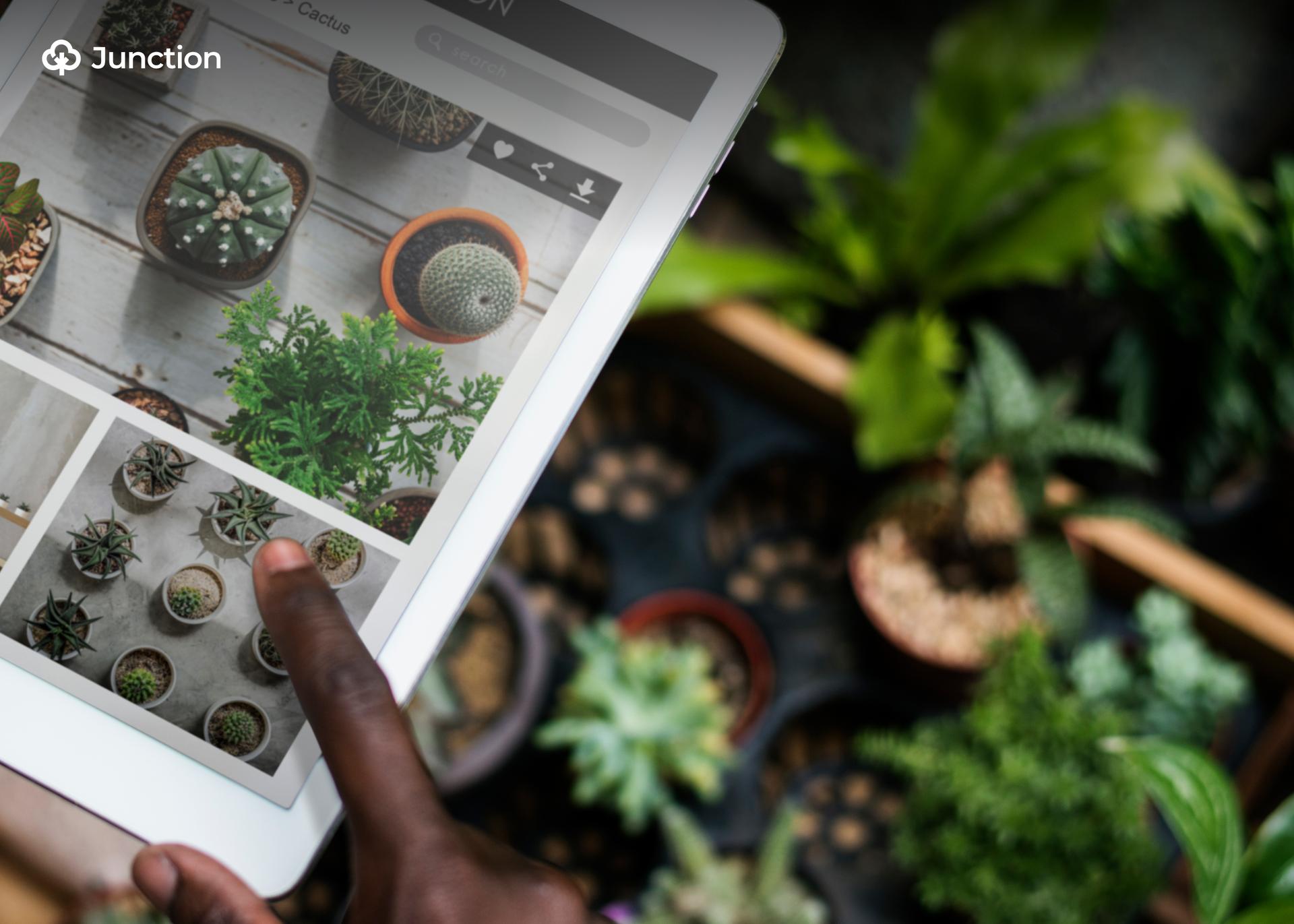 FG Earmarks ₦2.3trn for Agriculture, Technology in 2026