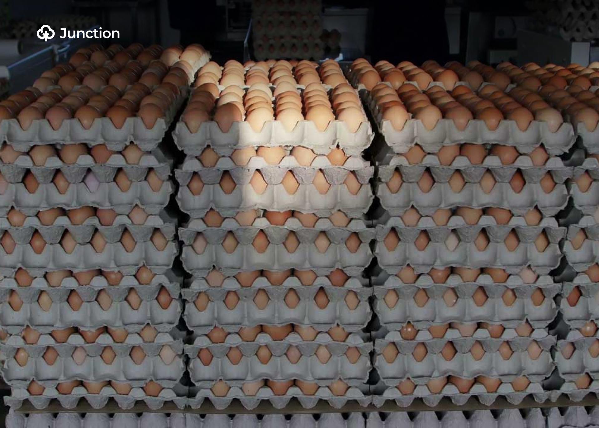 Lagos Poultry Farmers Deny Egg Scarcity, Say Supply Remains Strong