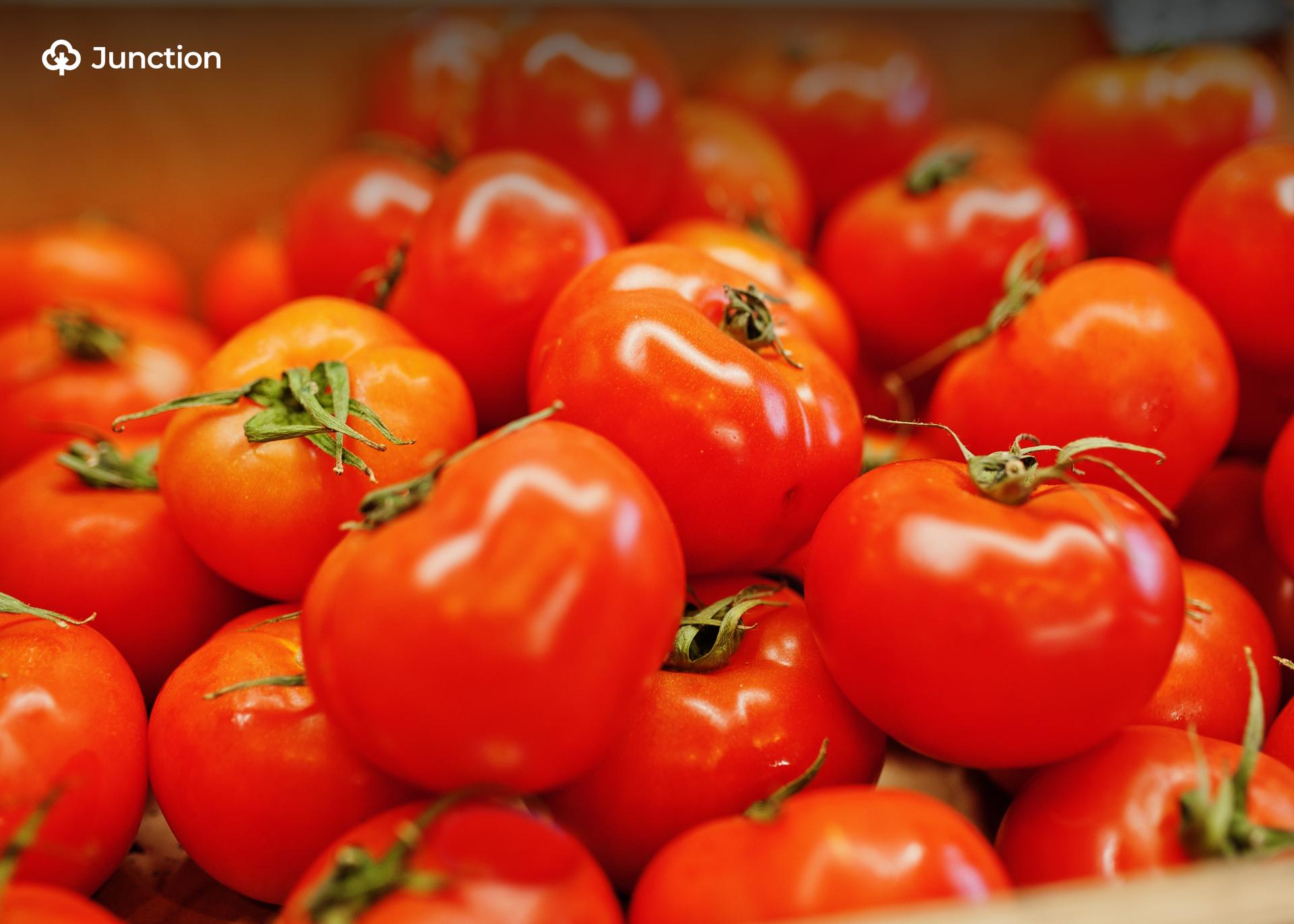 How Nigeria Broke 12-Year Tomato Scarcity Jinx