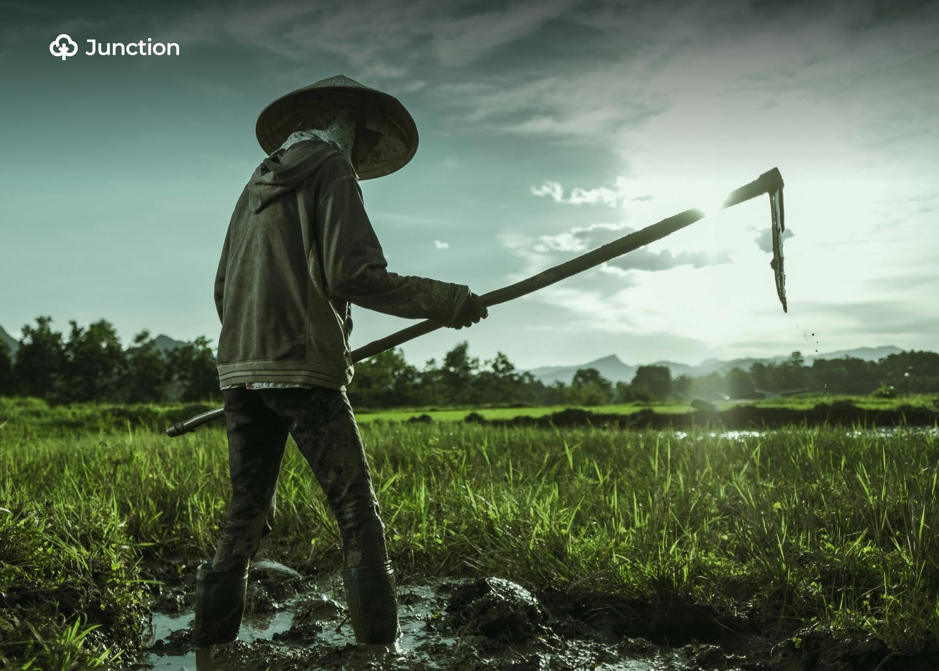 AFAN Warns of Farmer Losses as Food Prices Drop, Backs Minister Edun's Plan