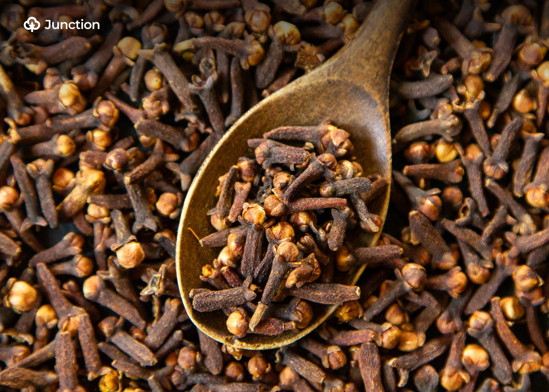 Nigeria to Inaugurate Maiden Cloves Farming with 74,000 Farmers