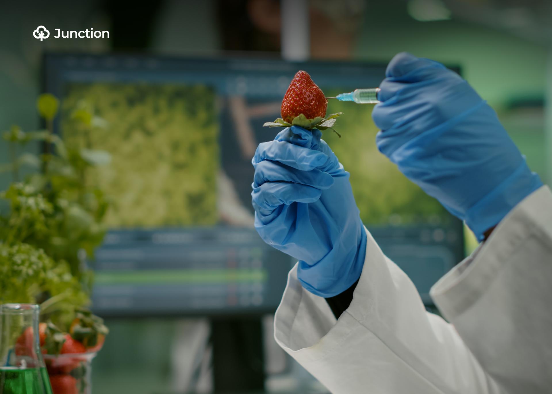 Nigeria's Biosafety Agency Clear Misconceptions on GMOs