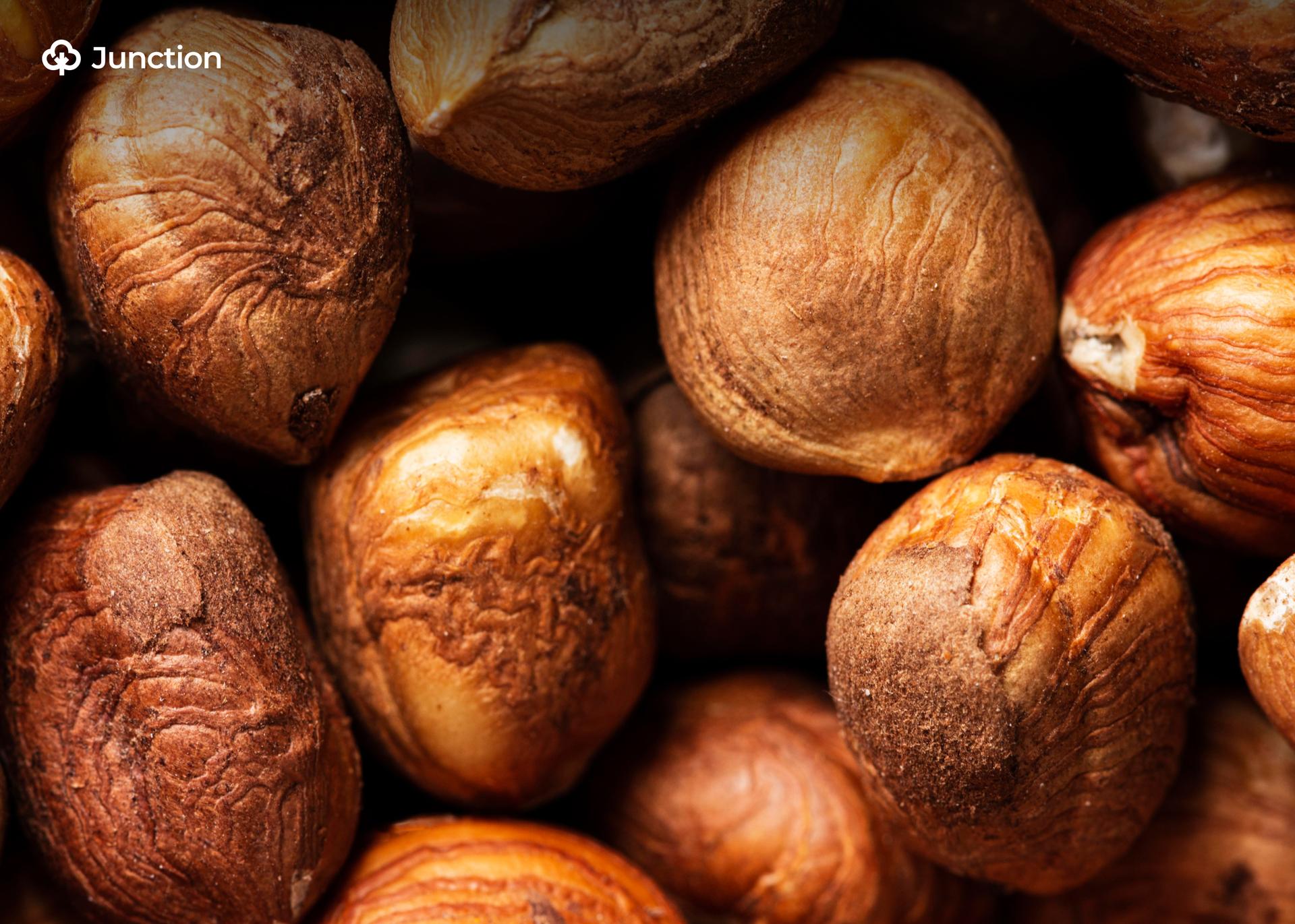 Nigeria's Shea Export Ban Yields Early Gains in Local Processing