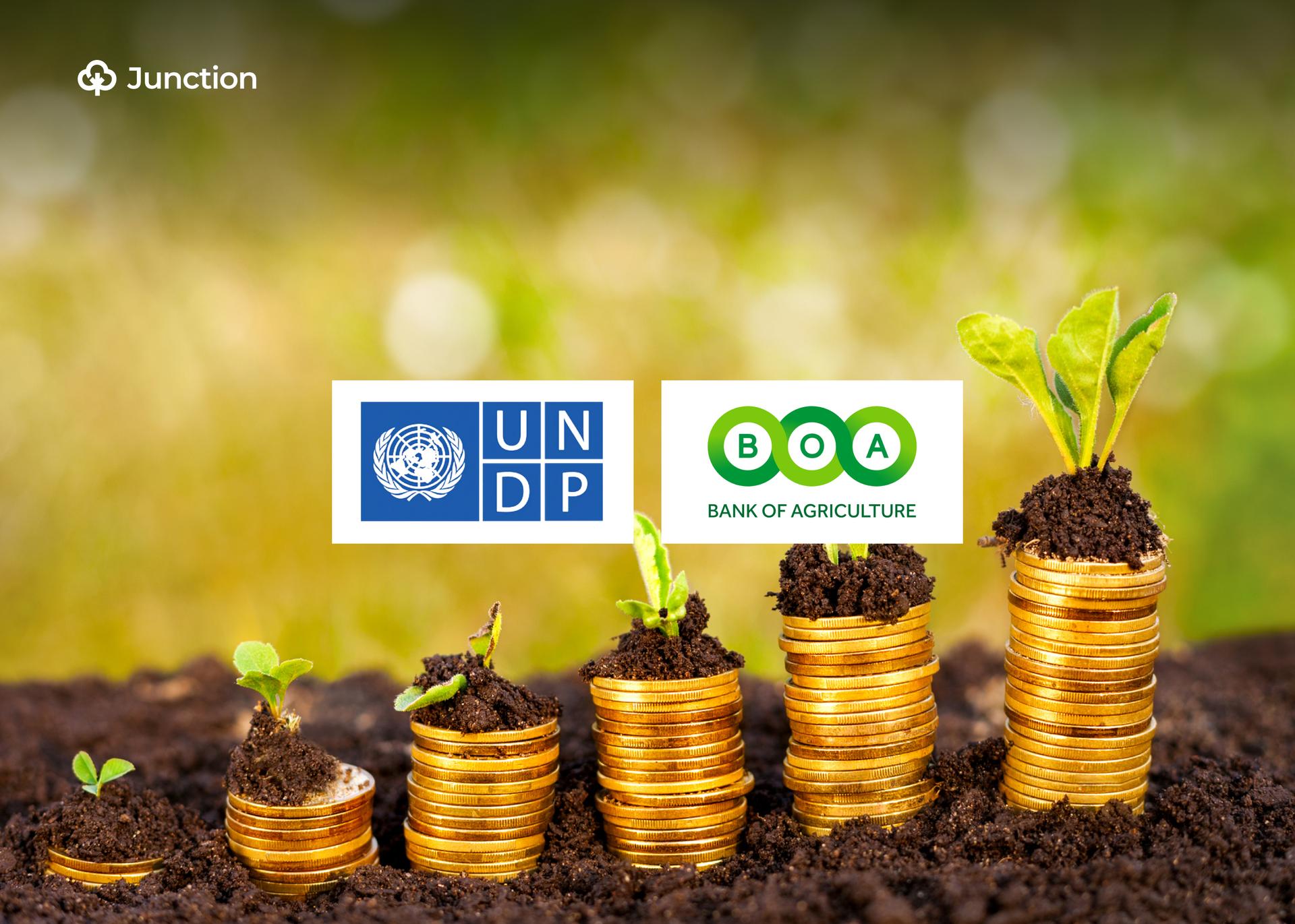 UNDP, BOA Sign Deal to Improve Agricultural Financing in Nigeria