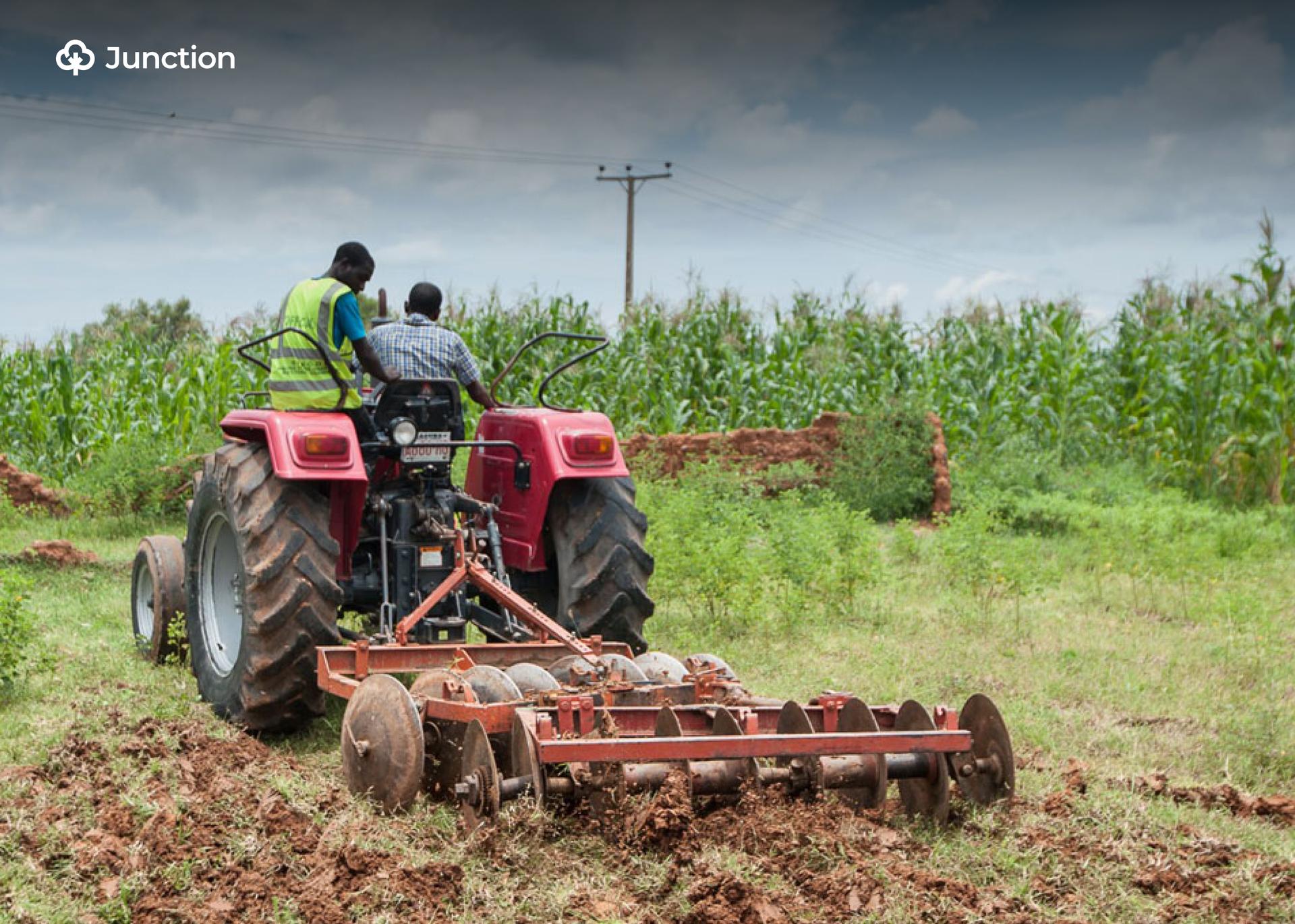 Nigeria Targets Youth-Led Agricultural Growth with FG–IITA Partnership
