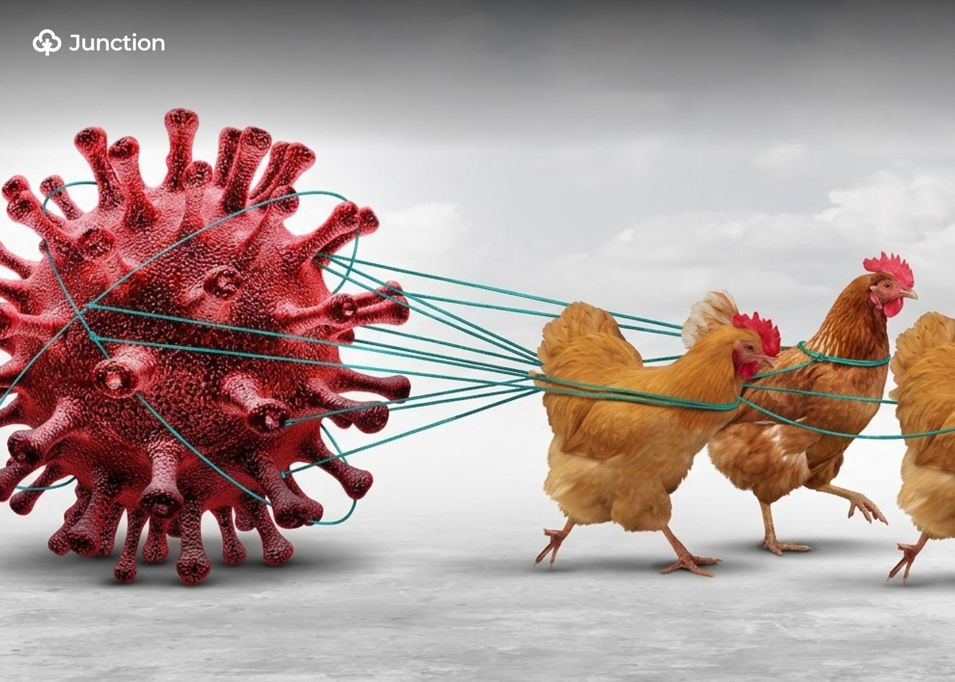 Nigeria, FAO Launch $350,000 Intervention to Combat Bird Flu