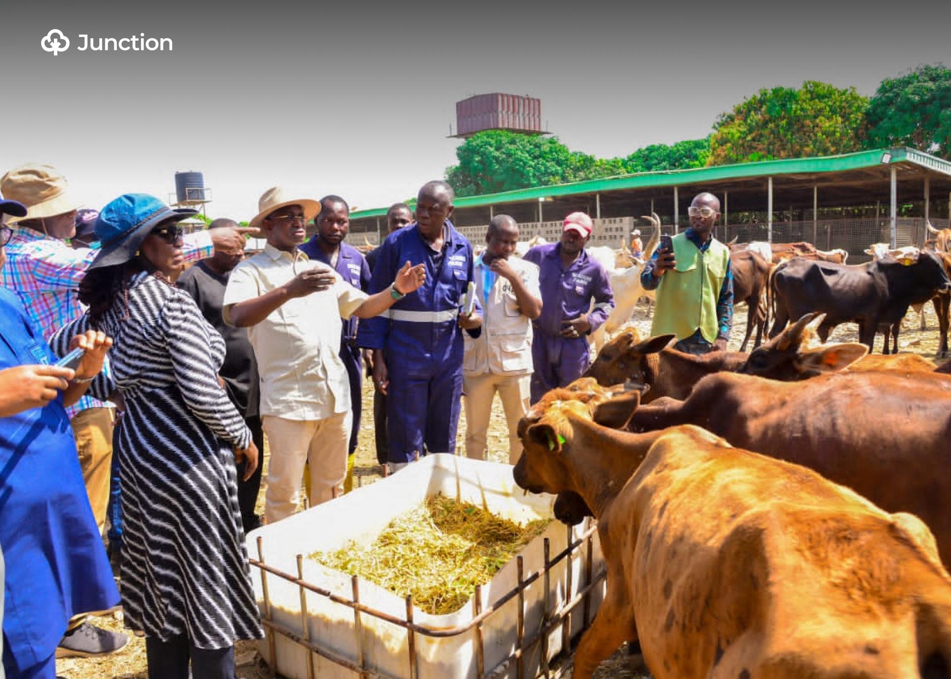 FG Eyes Red Meat Export Growth Through Niger State Partnership