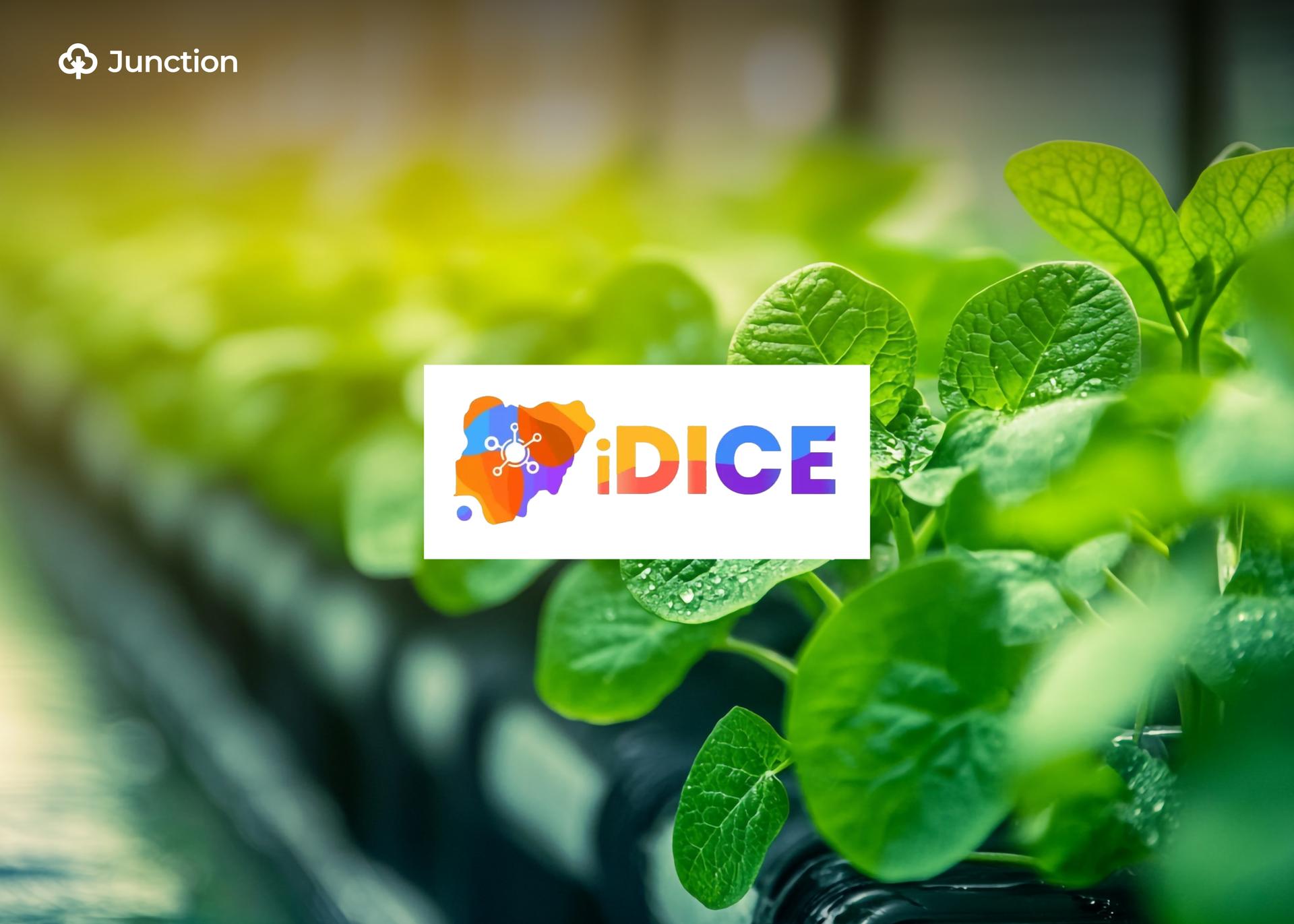 iDICE Startup Bridge to Power Nigeria’s Agri-Tech and Business Innovation