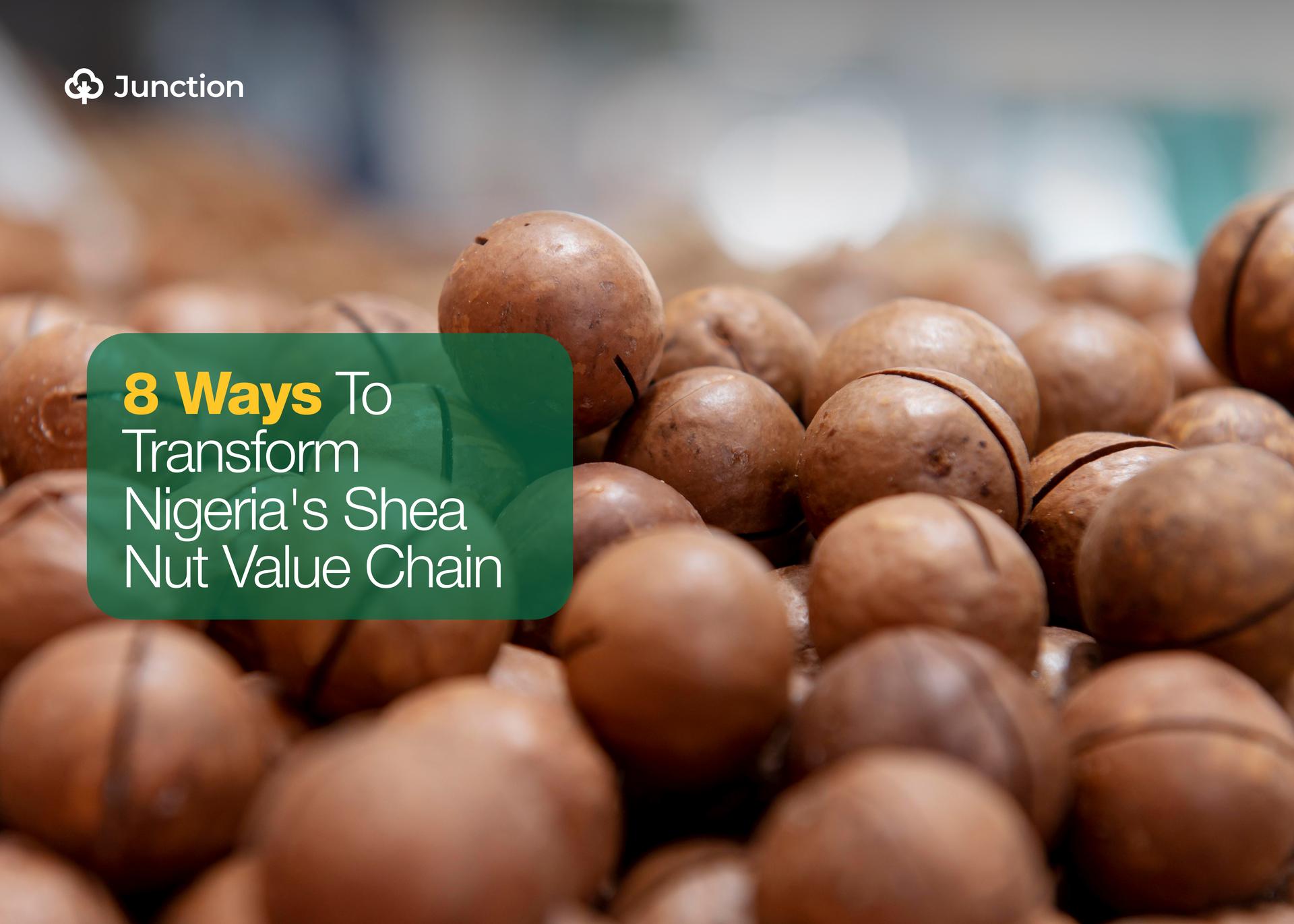8 Things Nigeria's Shea Nut Value Chain Needs to Transform into a Productive Sector