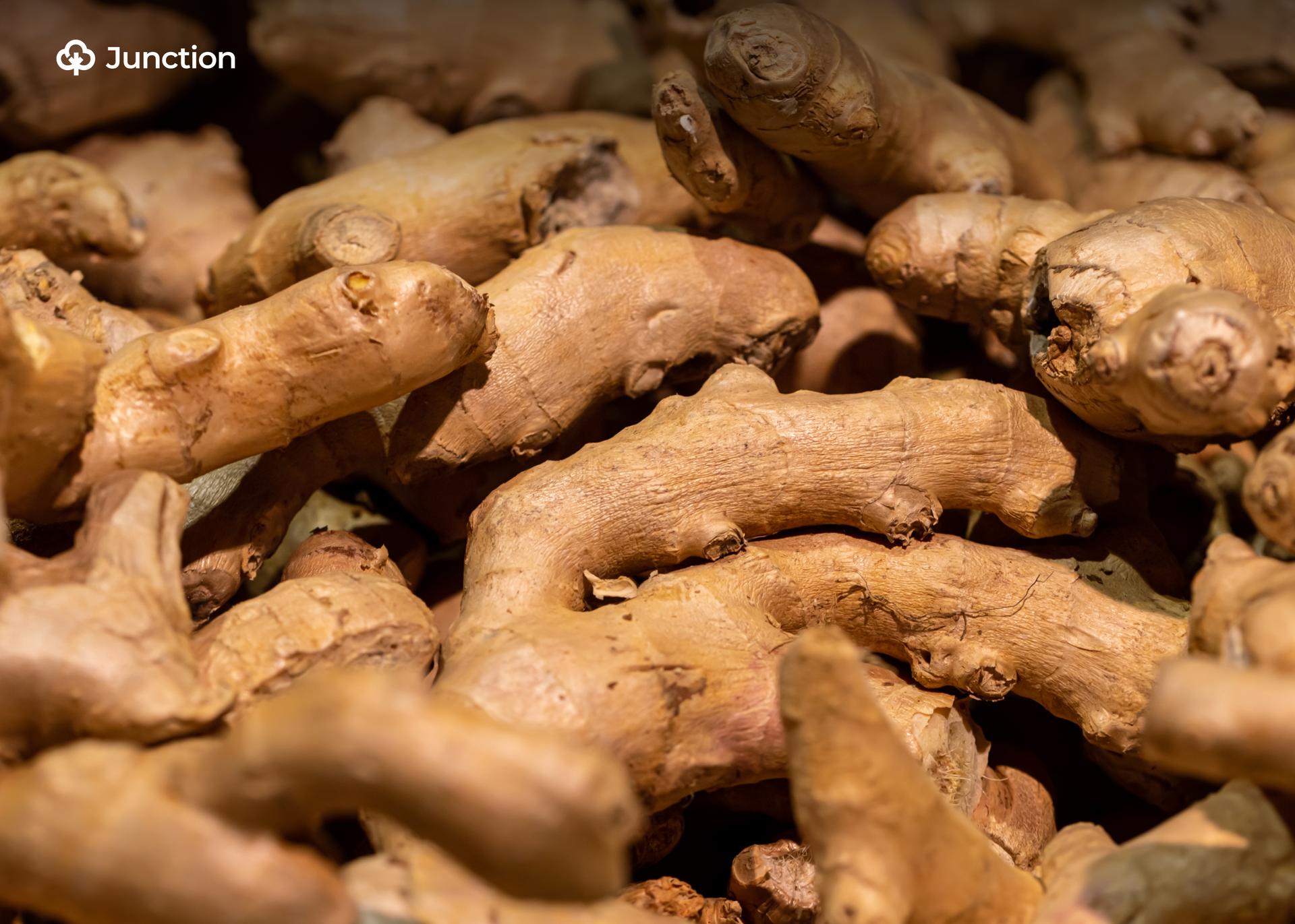 Nigeria’s Non-Oil Export Push Shifts to Execution as Farmers Eye New Opportunities