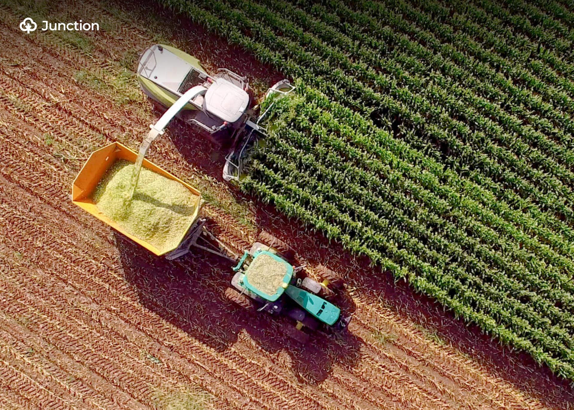 Nigeria's Northern Farmers to Adopt Brazil's Agribusiness Model