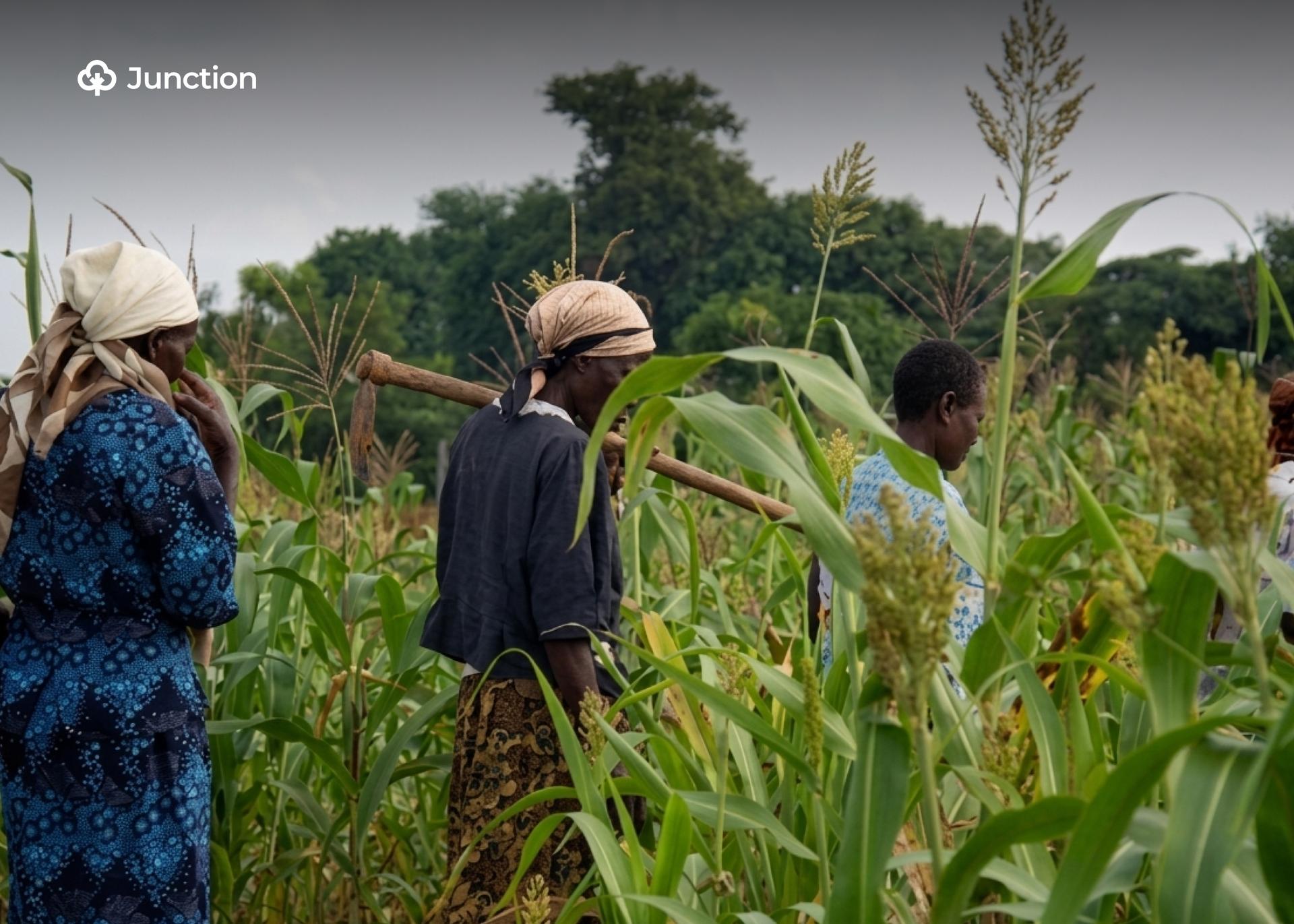 Farmers Can Now Safely Return to Farms —Zamfara Police