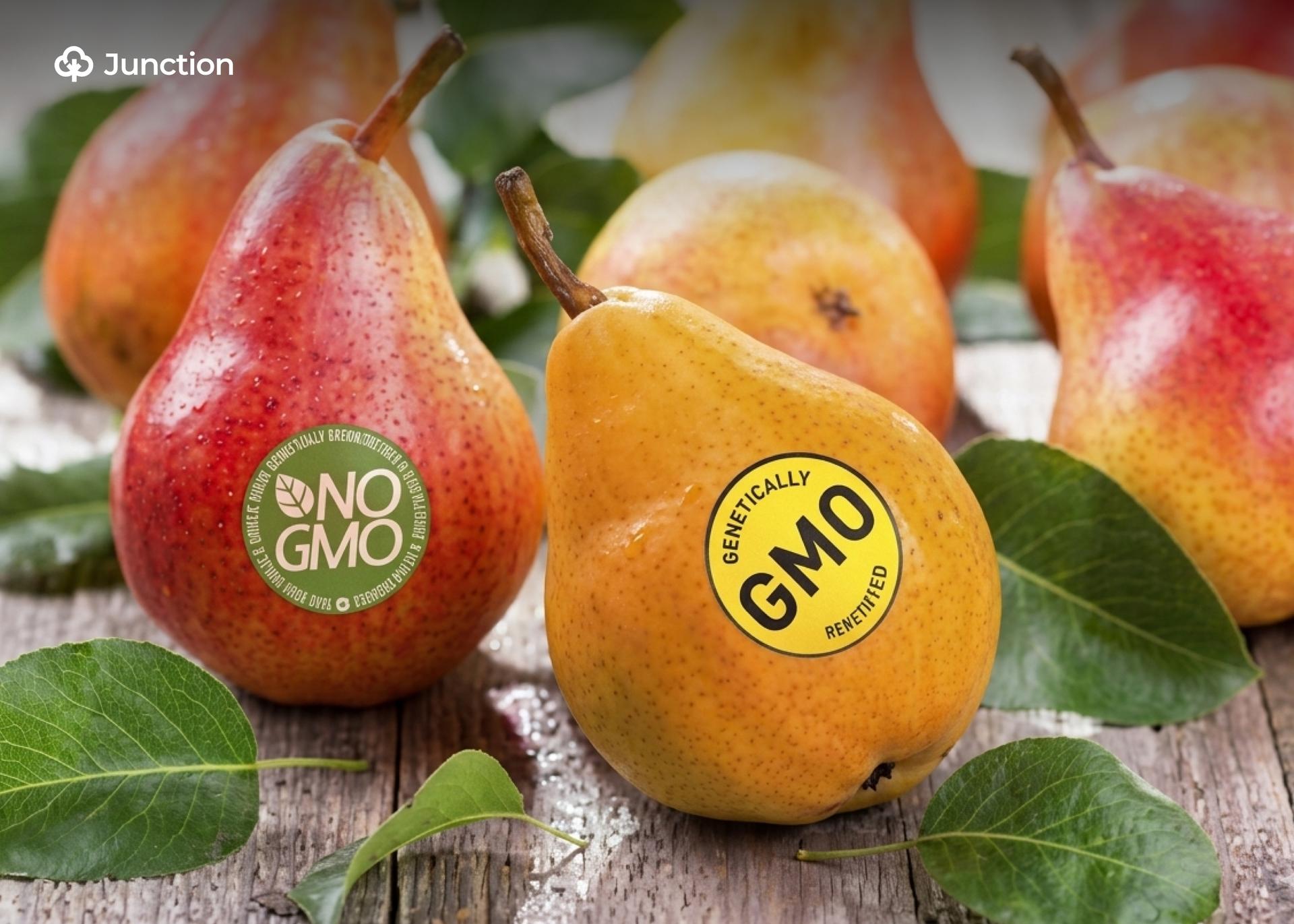 Genetically Modified Crops Safe, Profitable —NBRDA